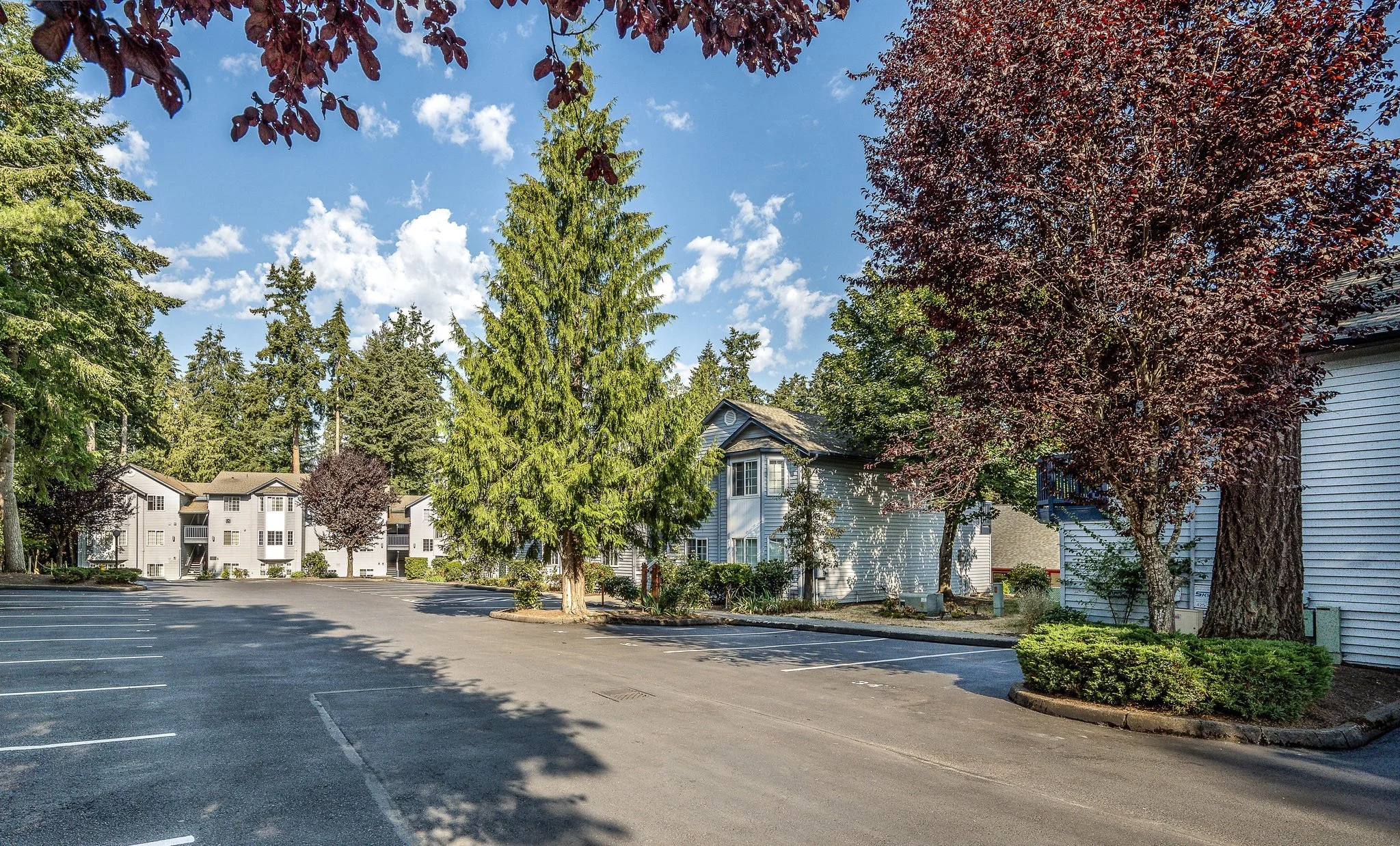 1201 Anacortes Ave Renton.jpg