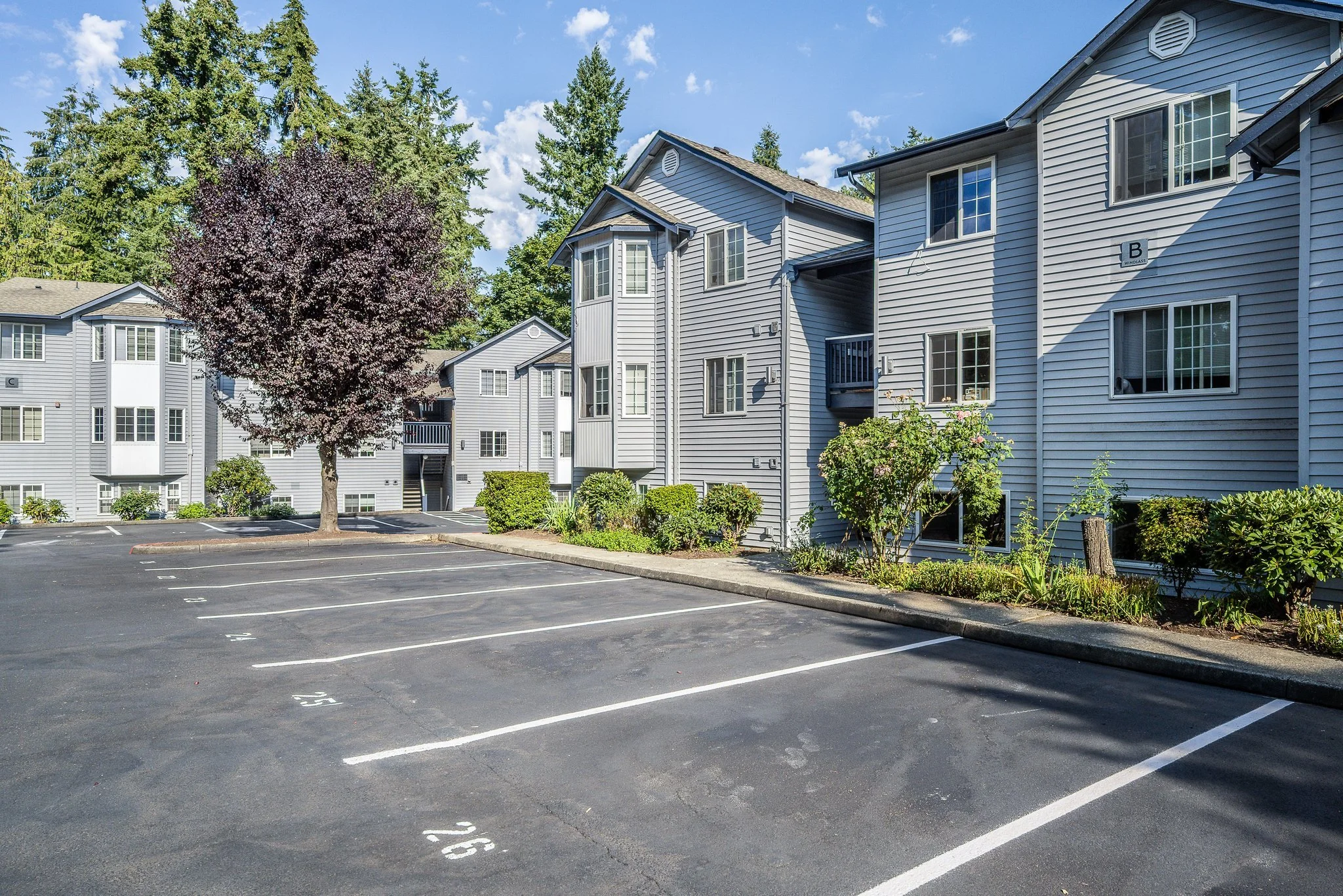 12-web-or-mls-Sketchbox Images-1201 Anacortes -Exteriors-Drone 8.22-3.jpg