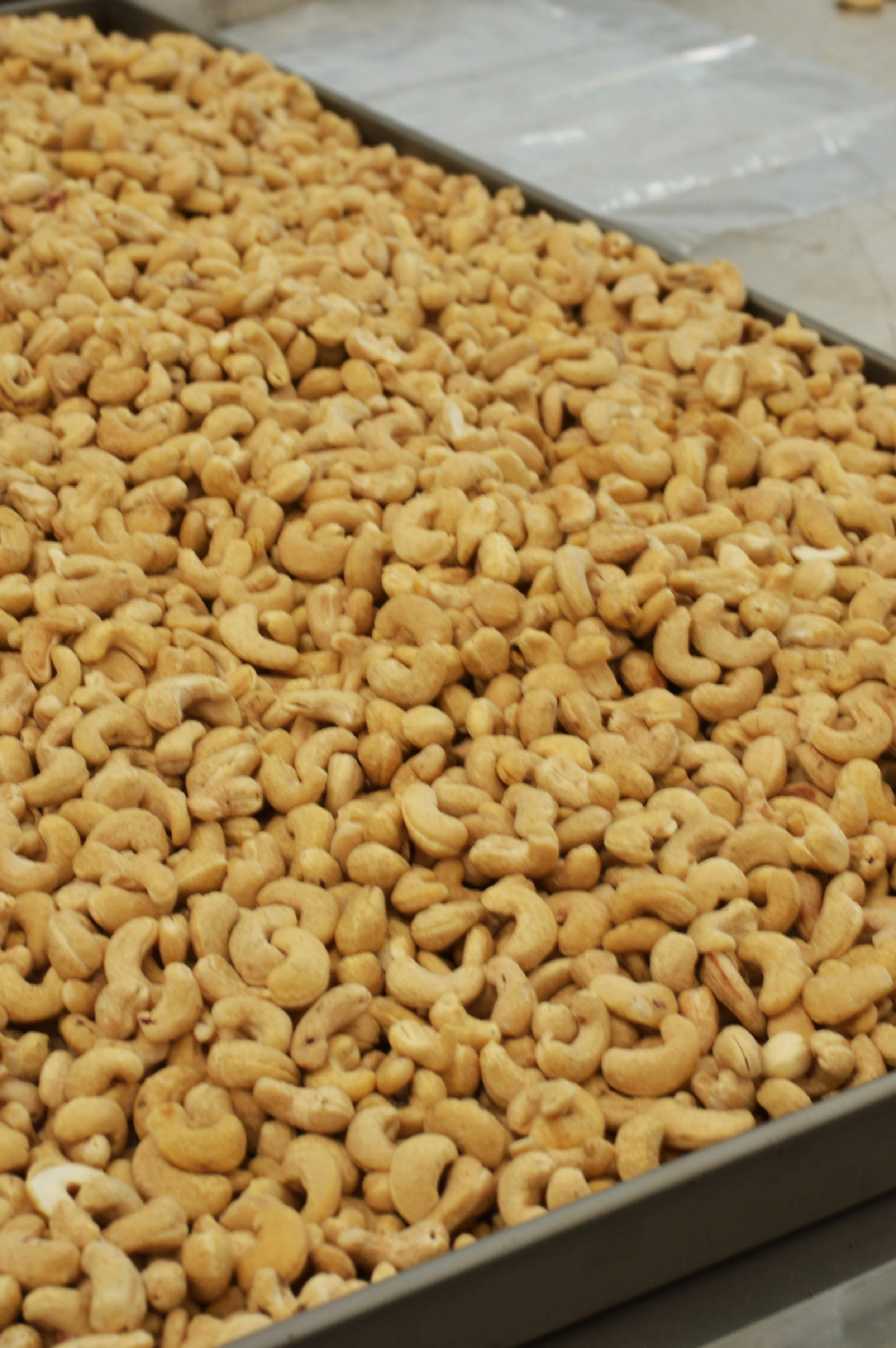 10 benefícios da Castanha de Caju confirmados pela ciência