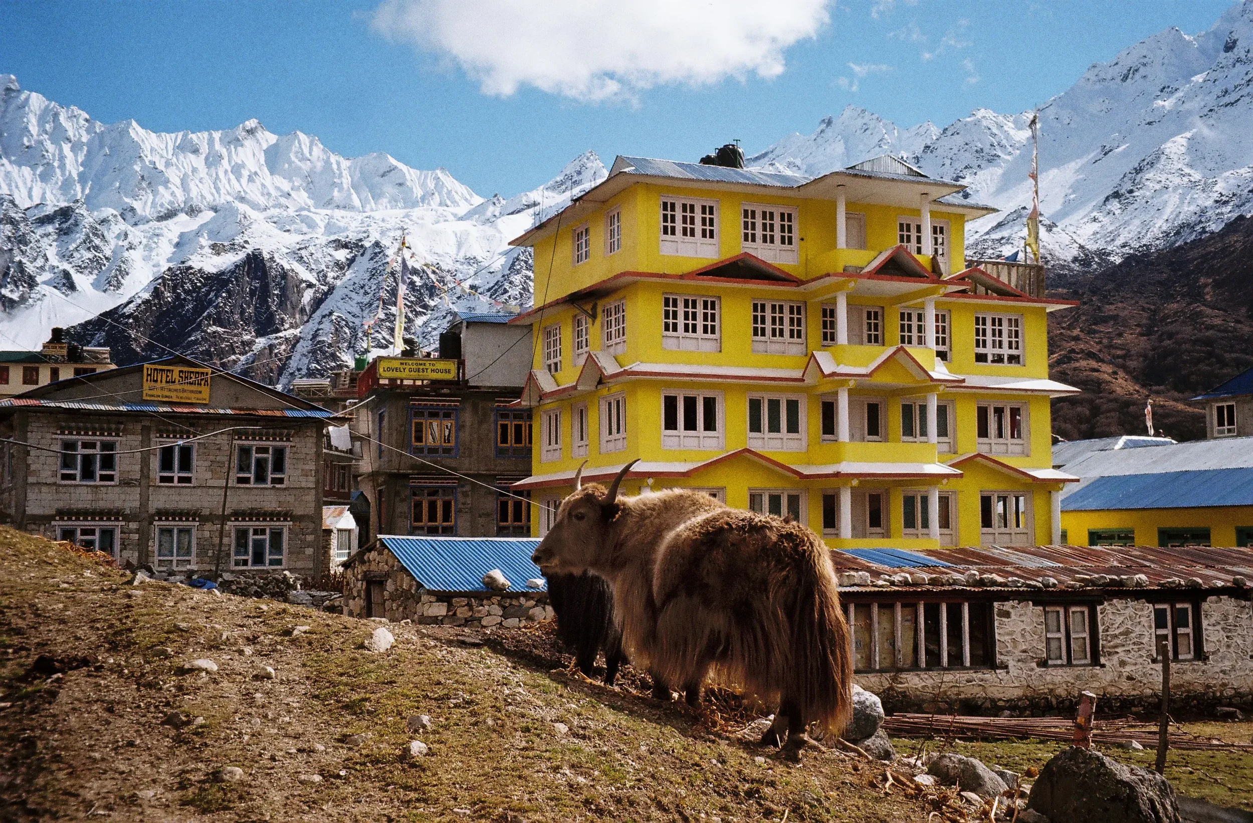 Lang Tang Valley Trek Guide: Itinerary, Cost & Tips (2026)