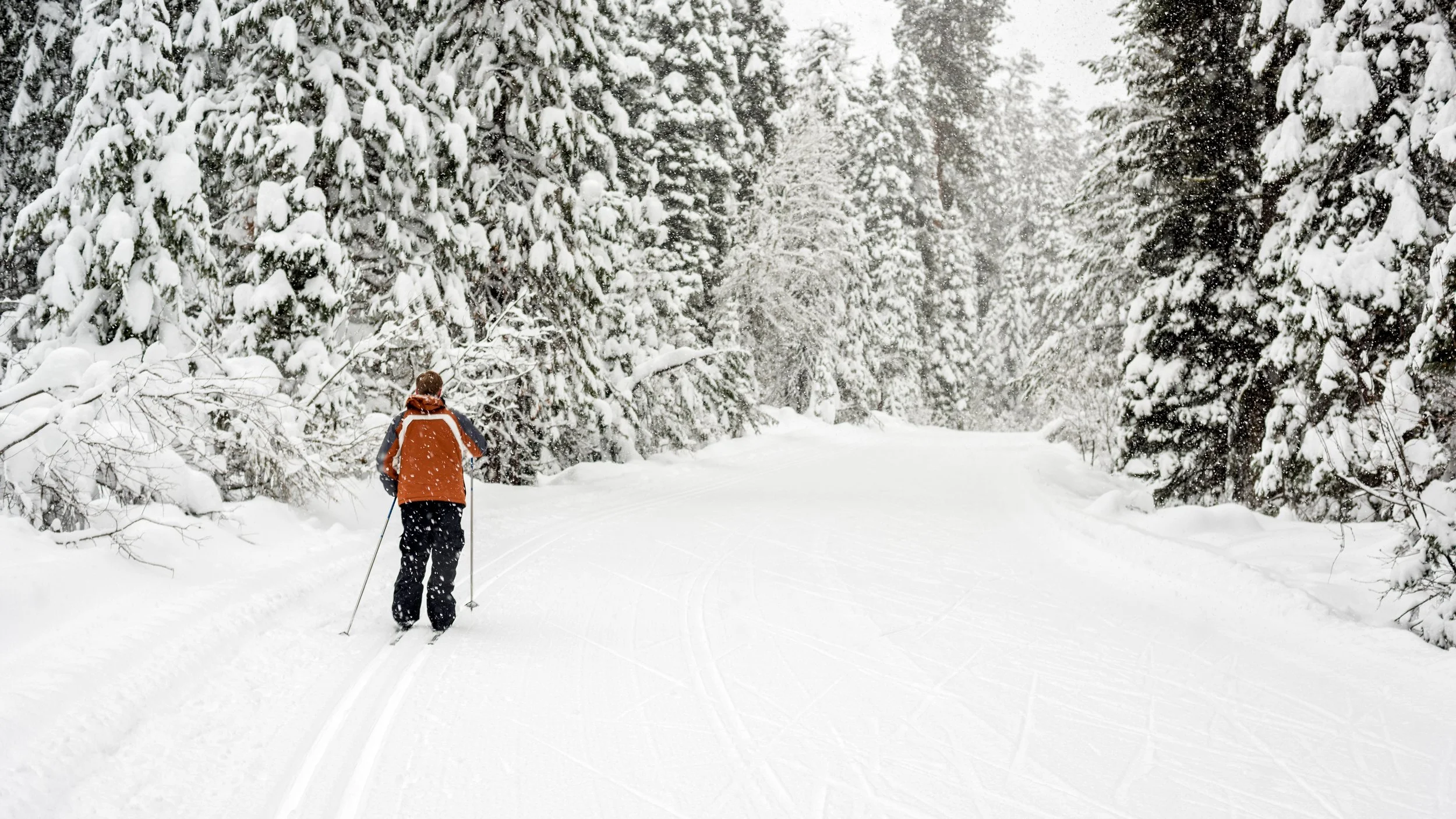 A person snowshoeing through a snowy forest in McCall, Idaho with tall, snow-covered trees on both sides of the trail.