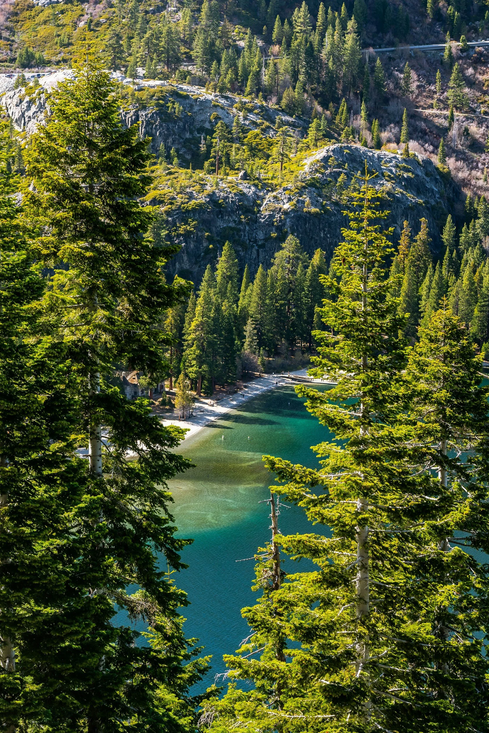 Tall pine trees surround a clear, greenish-blue lake at the base of rocky, forested mountains with a winding road visible on the right side.