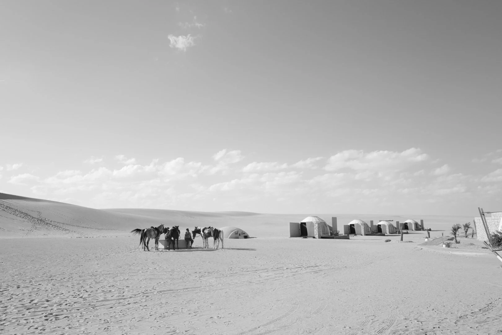 preview_DL01000063.JPG