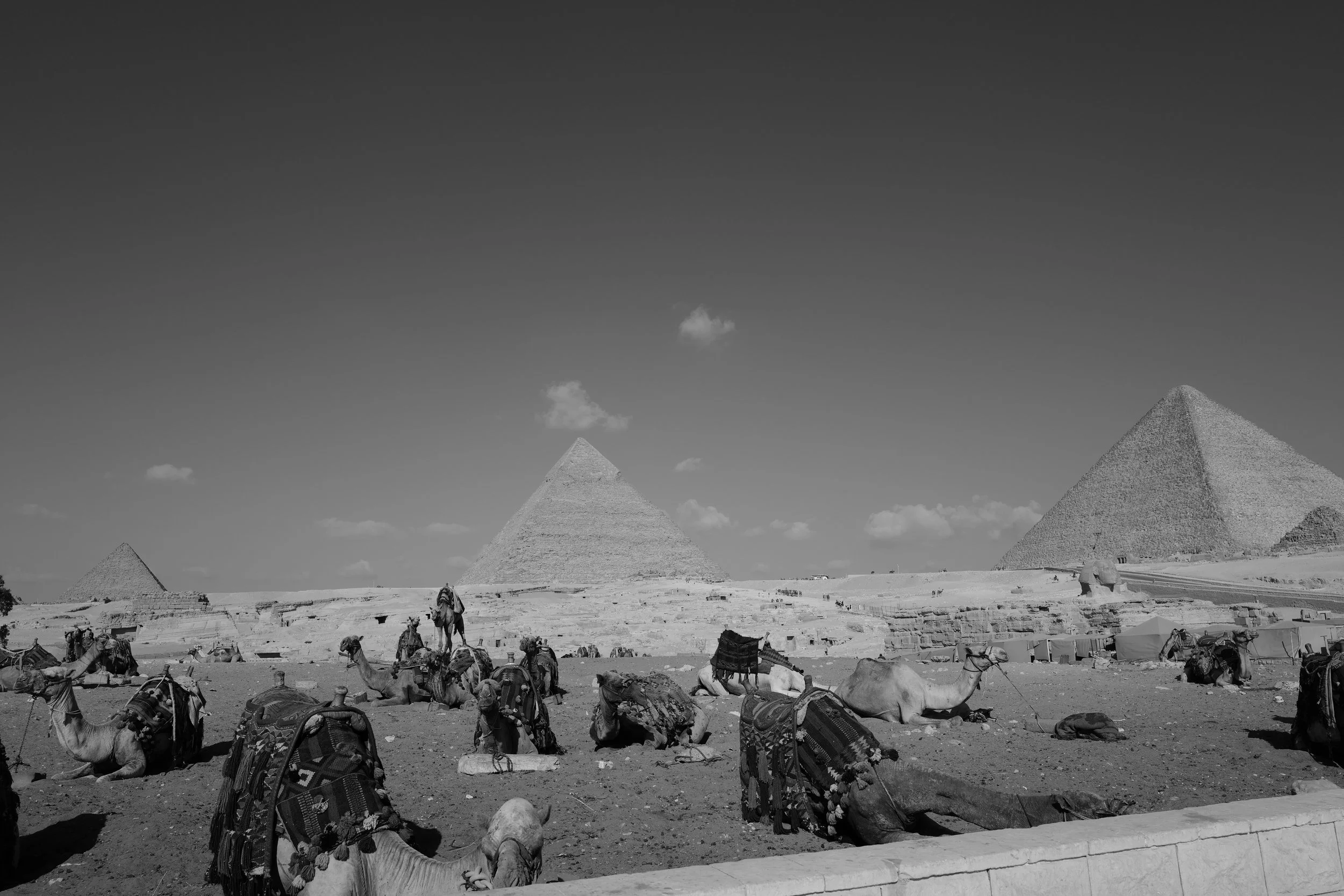 L1021394.JPG