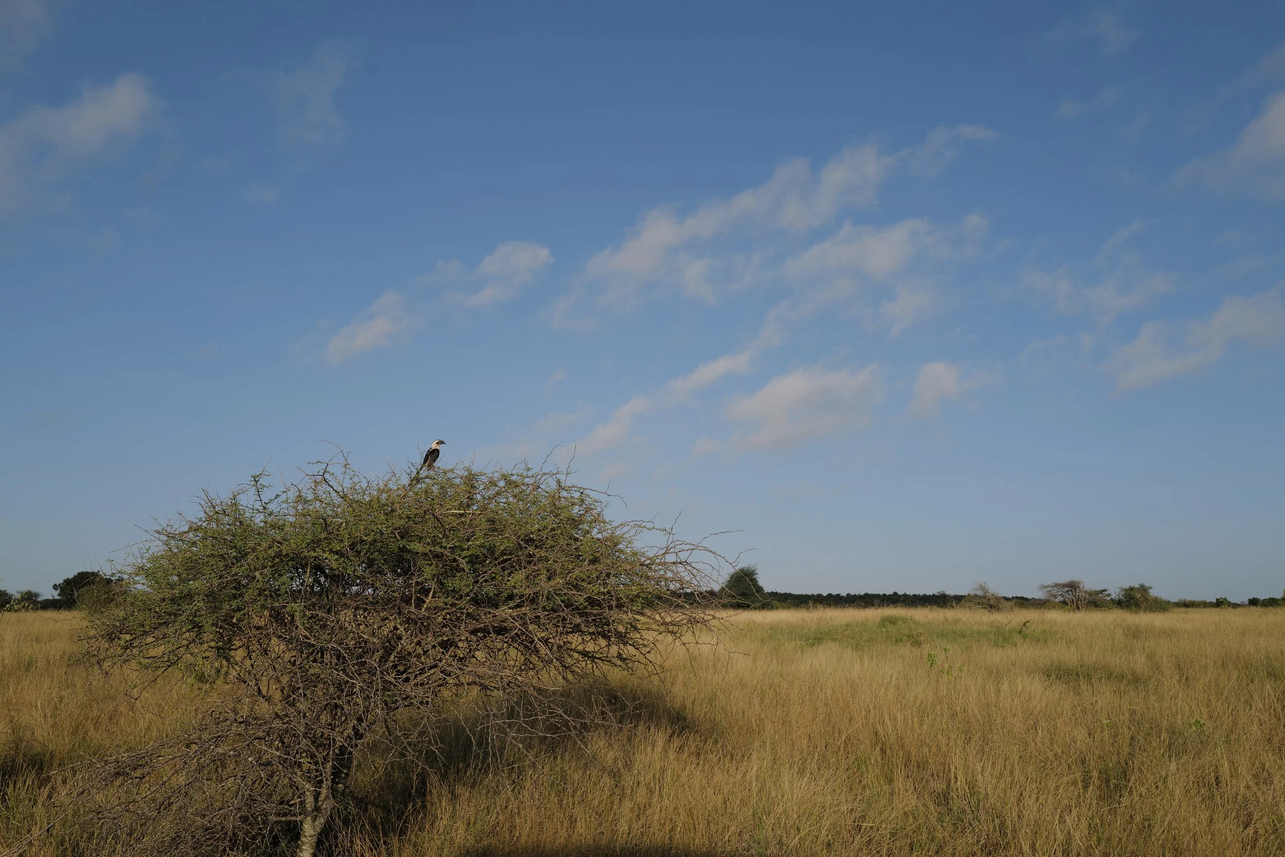 L1063033.JPG