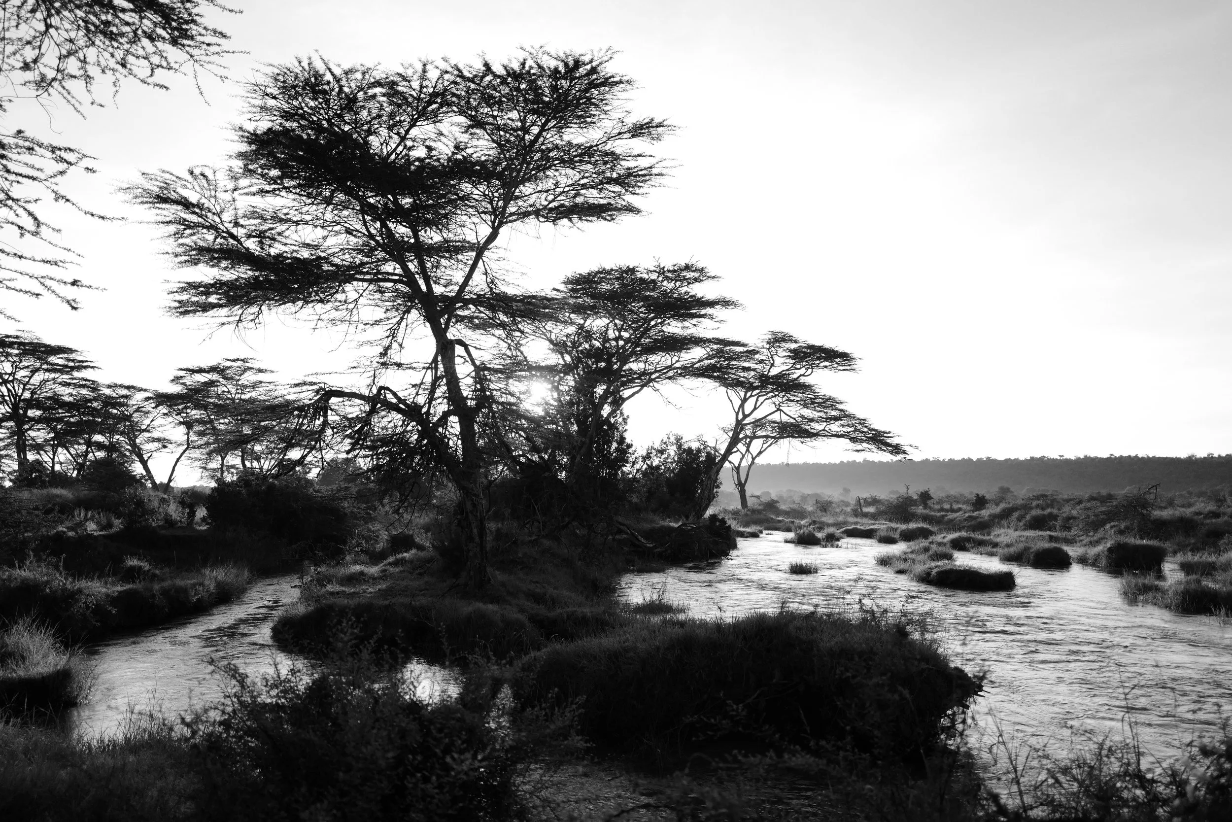 L1063274.JPG