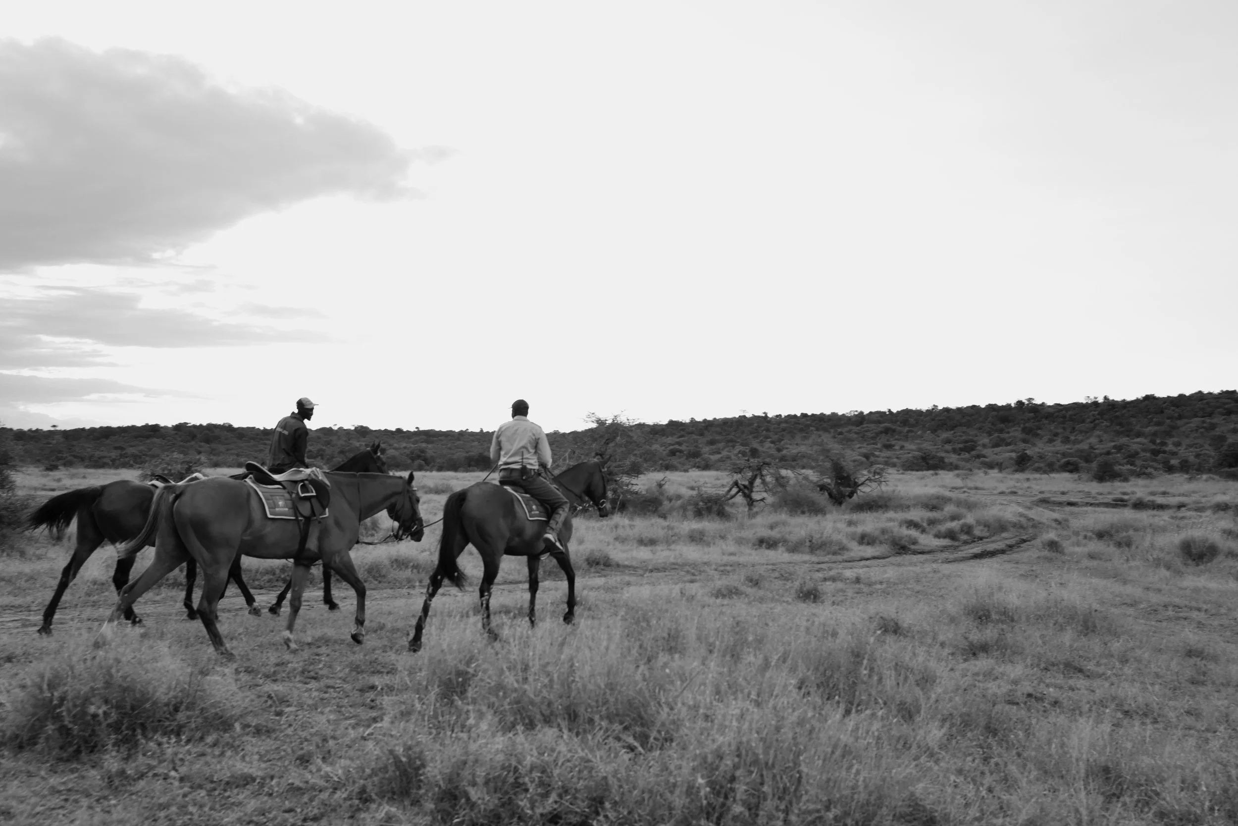 L1063191.JPG