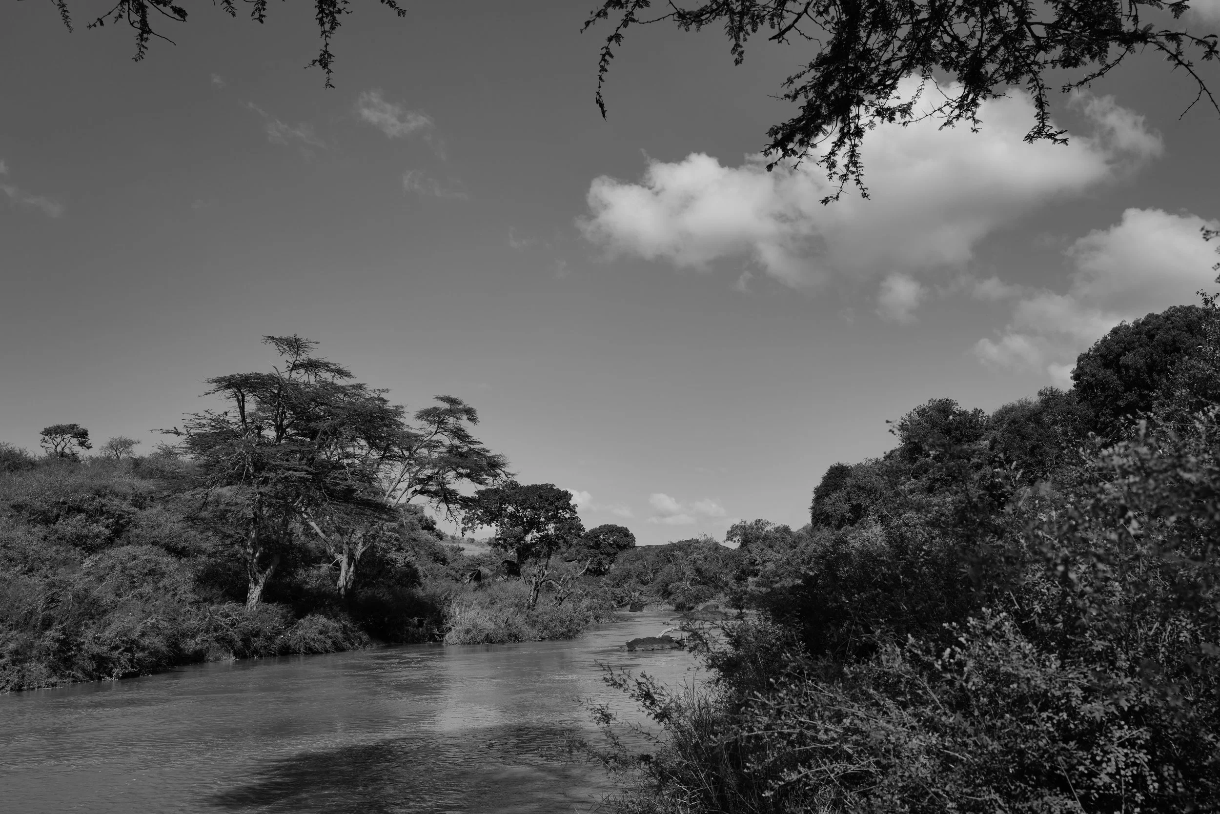 L1063092.JPG