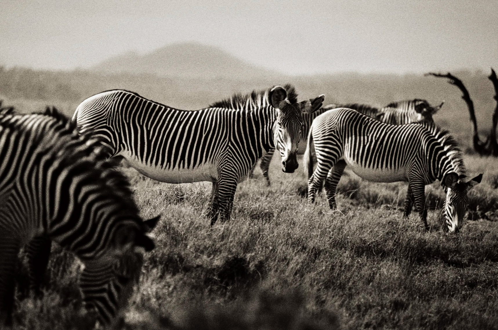 Screenshot 2025-12-02 at 4.55.09 PM.png