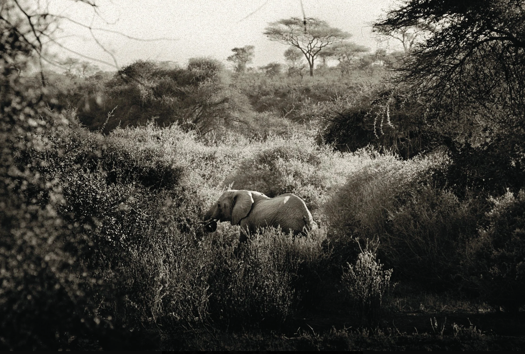 Screenshot 2025-12-02 at 10.37.45 AM.png