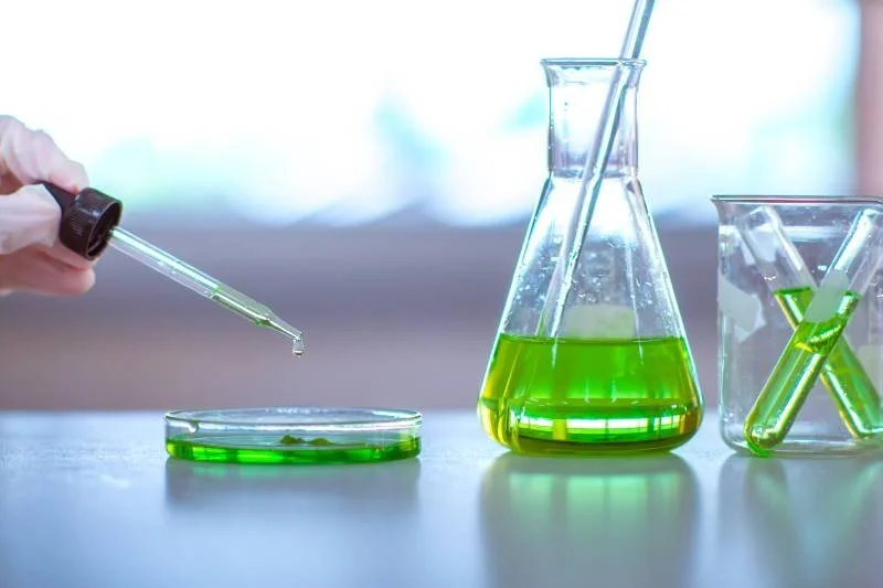 Chemisches Profil von Artemisia annua L.