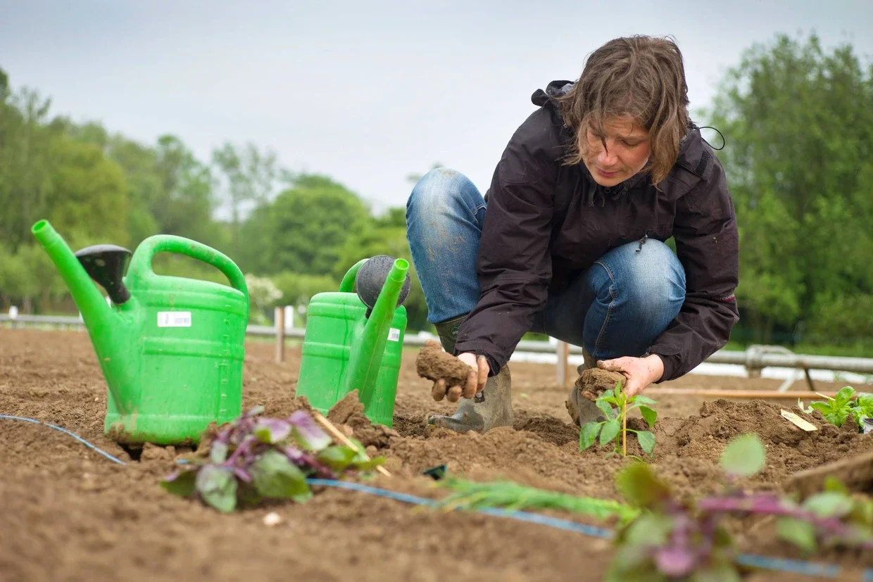Leitfaden für Selbstversorger und Hobbygärtner
