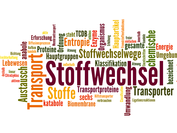 Artemisia annua bei Diabetes &amp; Stoffwechsel