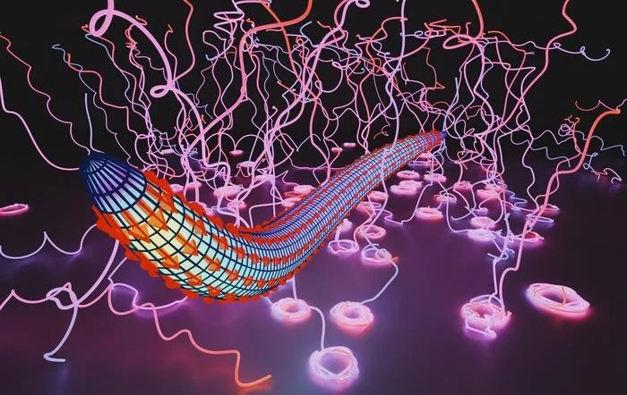 Malaria &amp; Artemisia annua