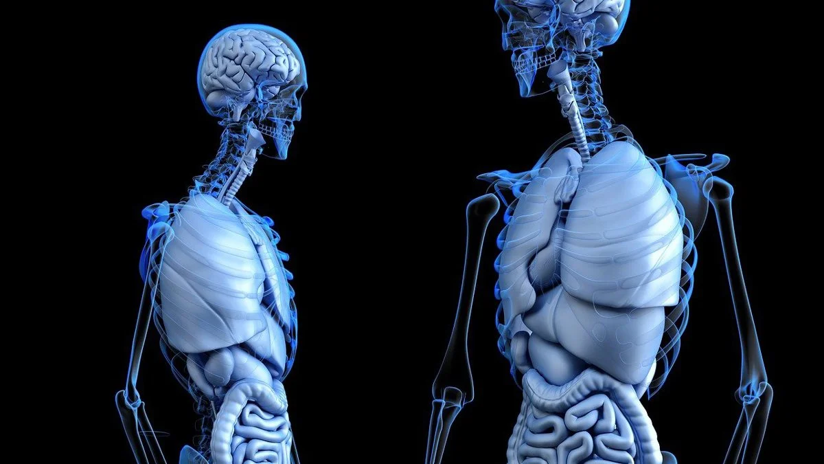 Artemisia annua bei Autoimmunerkrankungen