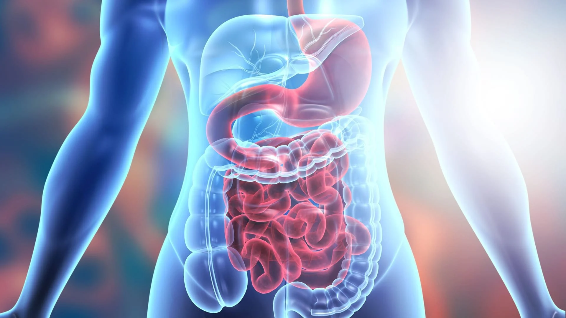 Artemisia annua bei Magen-Darm-Erkrankungen