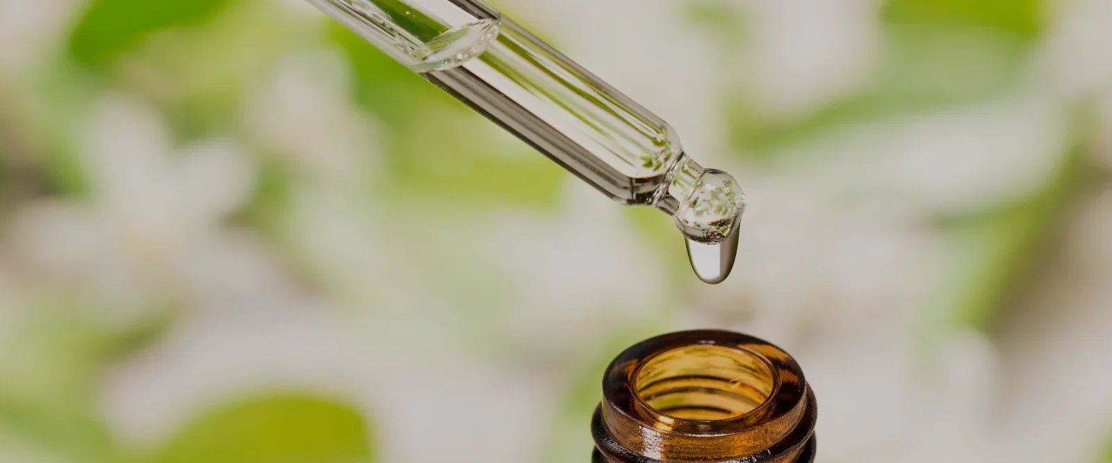 Ätherische Öle von Artemisia annua L. – Pharmakologisches Profil &amp; Evidenzlage