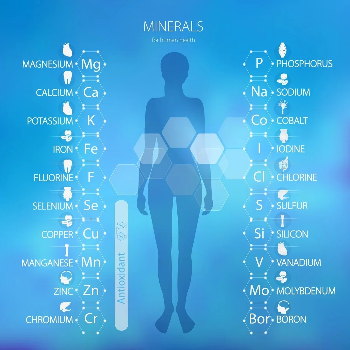 Mineralstoffe &amp; Spurenelemente in Artemisia annua L. – Anorganisches Profil &amp; Fenton-Chemie