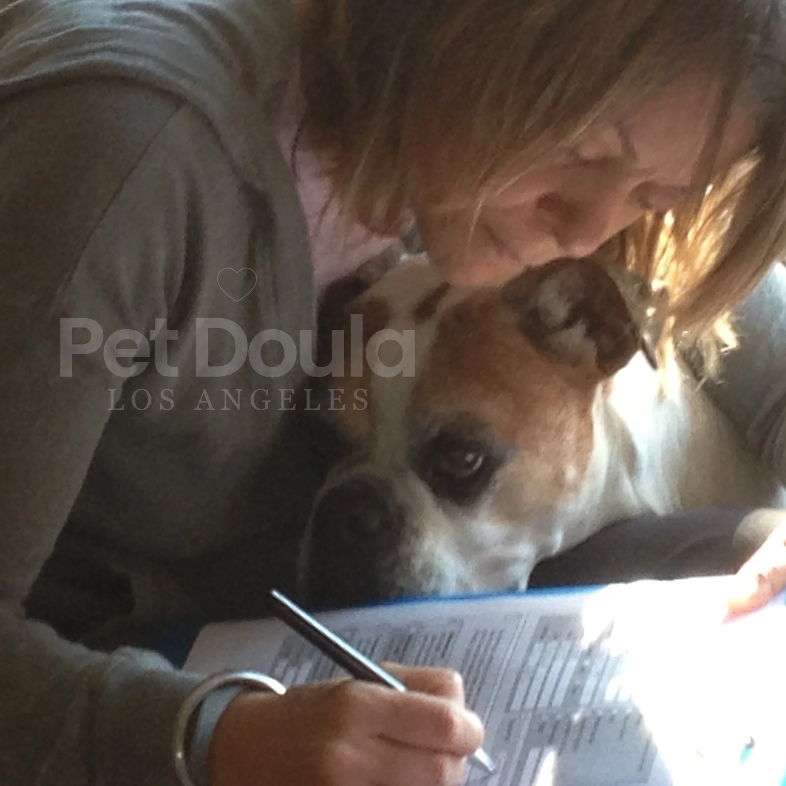 Portrait of Lisa, founder of Pet Doula LA, offering compassionate pet end-of-life support; end-of-life pet care, pet euthanasia support, at-home pet passing, compassionate care 