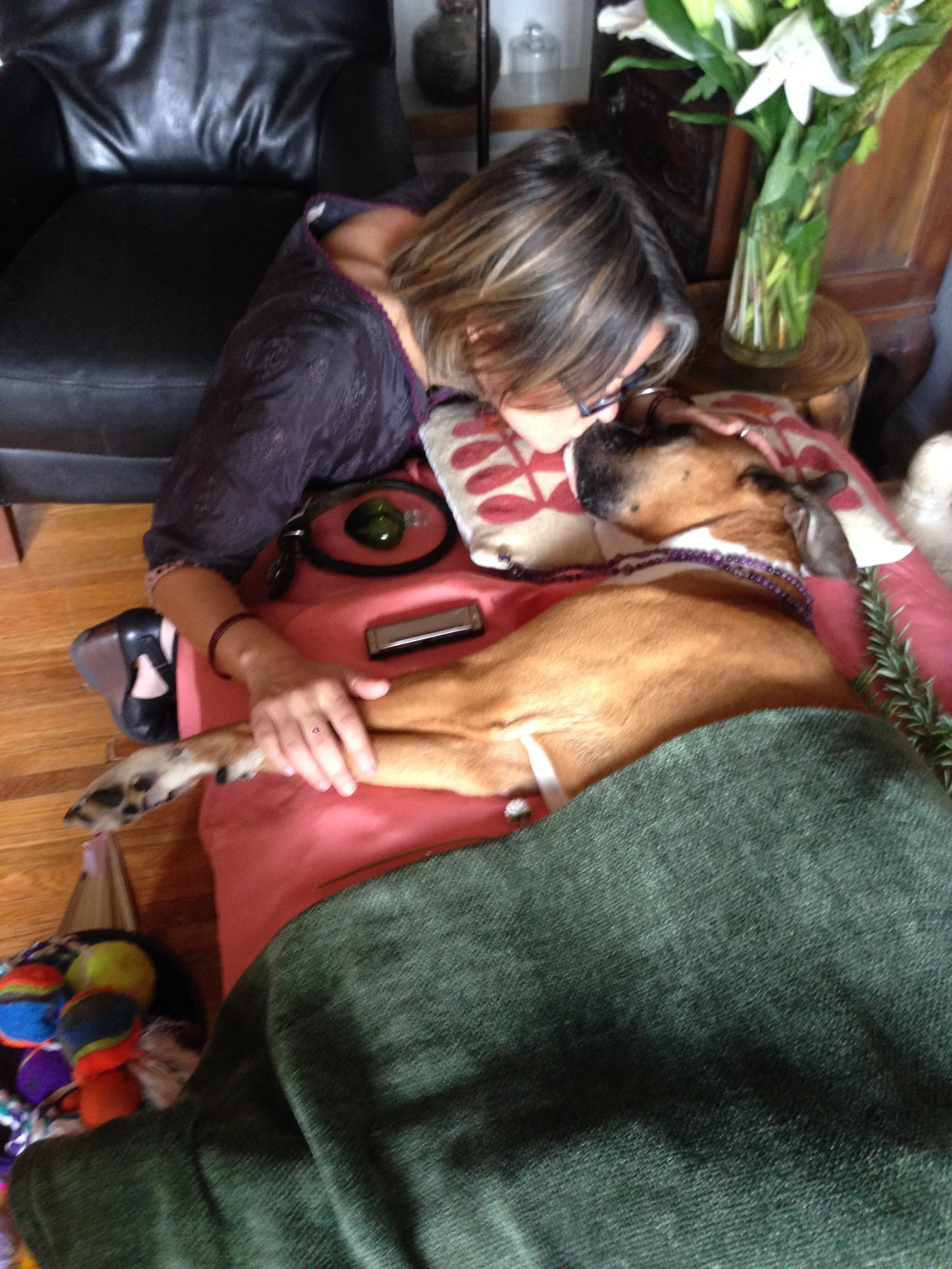 Compassionate in-home euthanasia for dogs, cats, horses, and birds. Providing a peaceful, private, and gentle end-of-life experience, with comfort-focused care, emotional support for families, and dignified farewell for beloved pets.