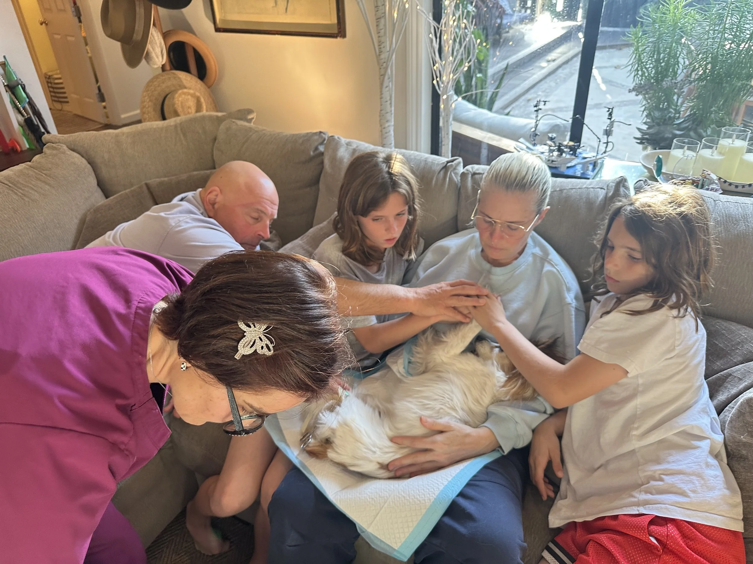 Compassionate at-home pet euthanasia for dogs, cats, horses, and birds. Offering a peaceful, private, and dignified passing, with end-of-life comfort care, gentle sedation, stress-free experience, and support for grieving families. 