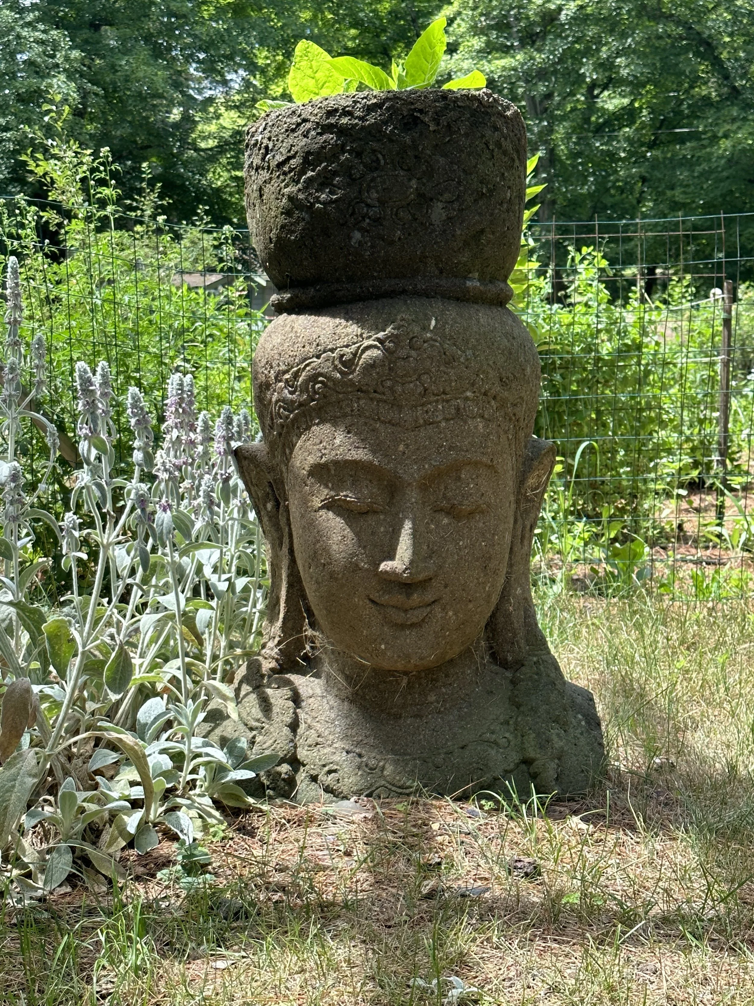 Compassionate in-home euthanasia for dogs, cats, horses, and birds. Providing a peaceful, private, and gentle end-of-life experience, with comfort-focused care, emotional support for families, and dignified farewell for beloved pets.