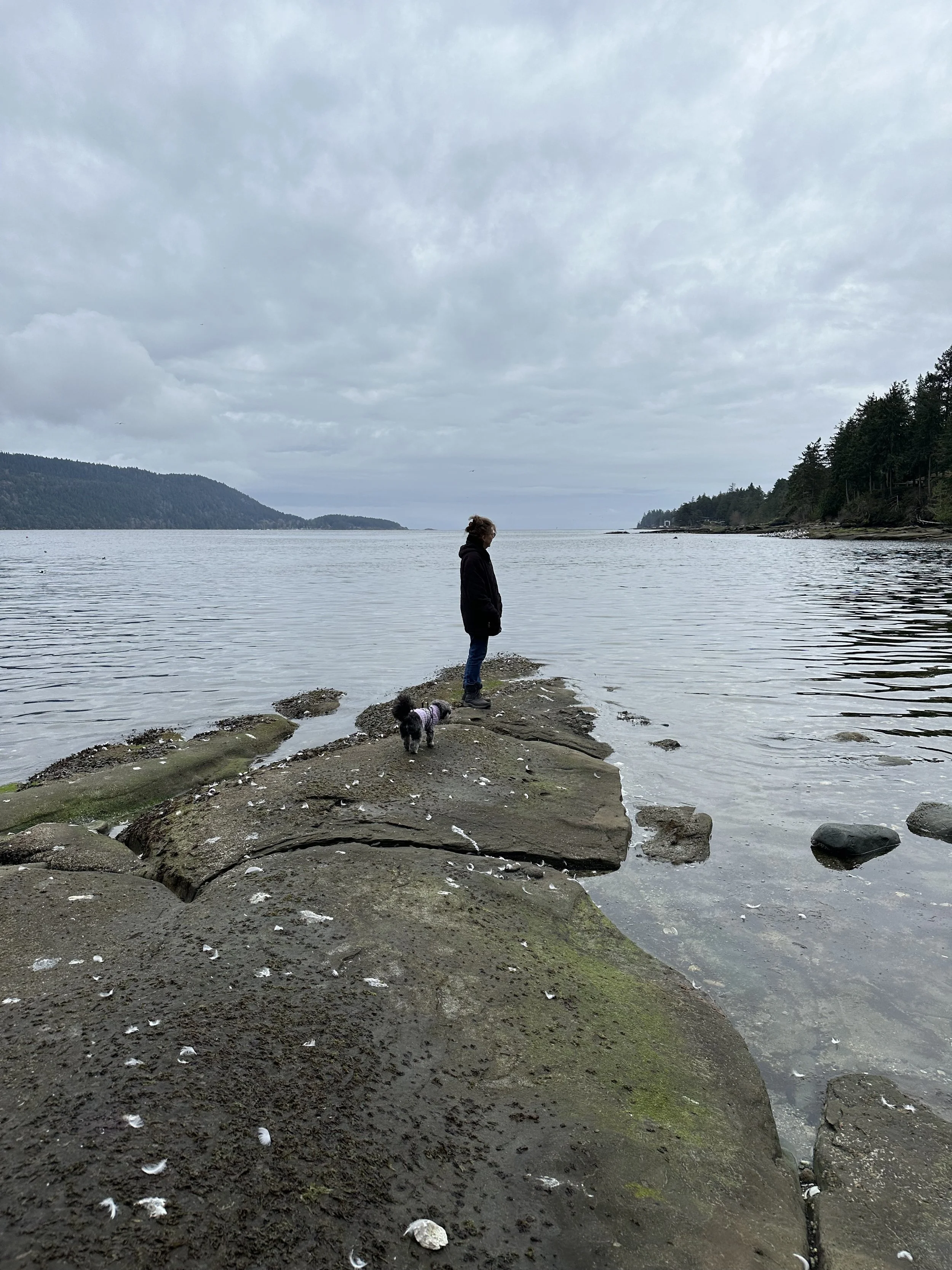 Meaningful pet scattering ceremonies for dogs, cats, horses, and birds. Compassionate end-of-life ritual, ashes scattering, and memorial support to honor your beloved pet’s life and provide closure for grieving families.