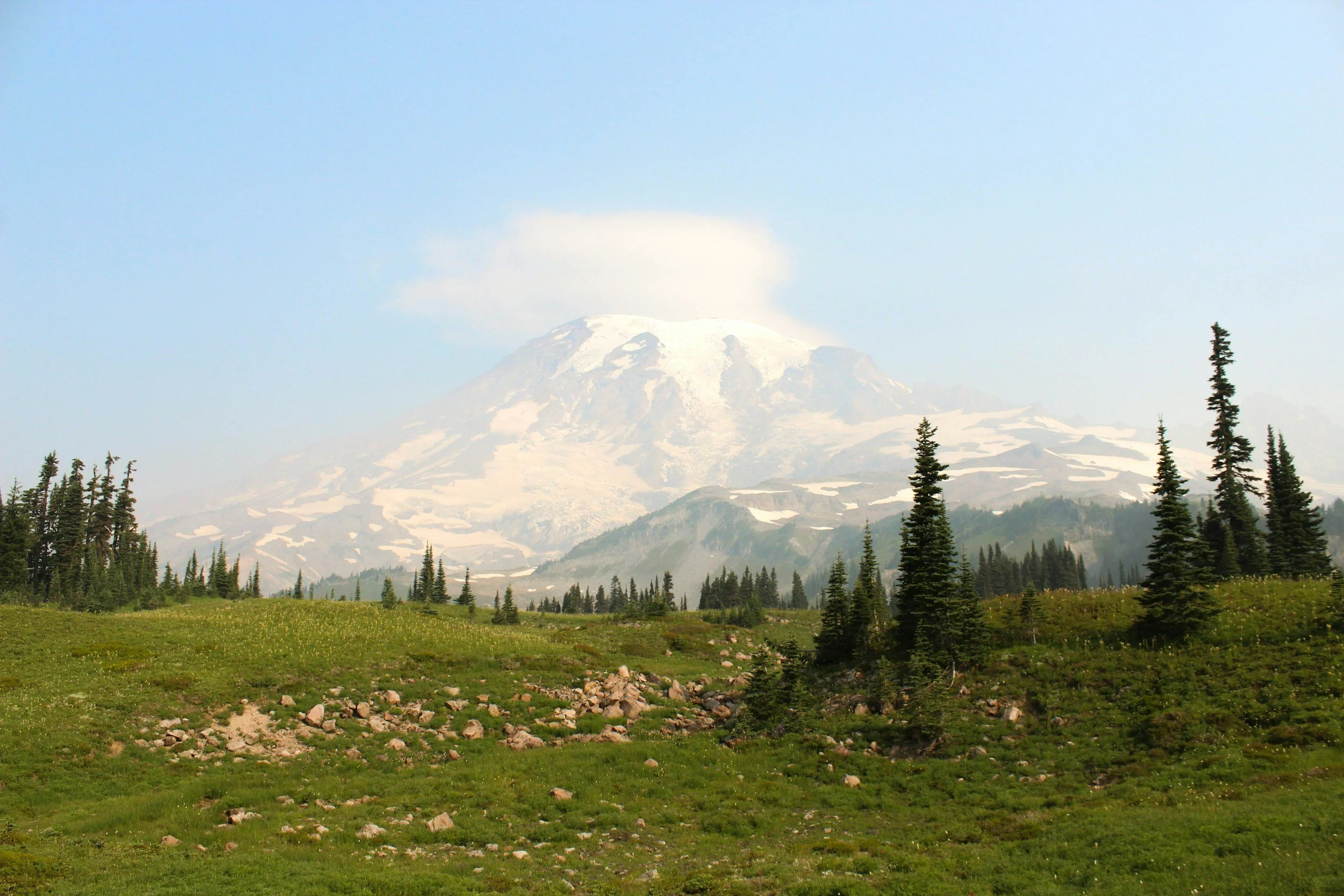 Snow-capped mountain with a faint cloud formation near the peak, surrounded by evergreen trees and a grassy foreground.
