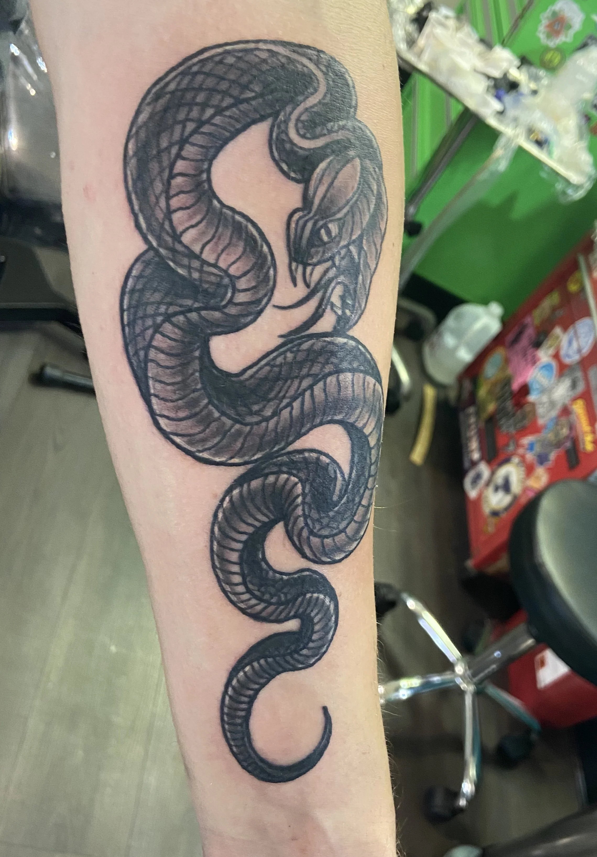 dave - snake1.jpg