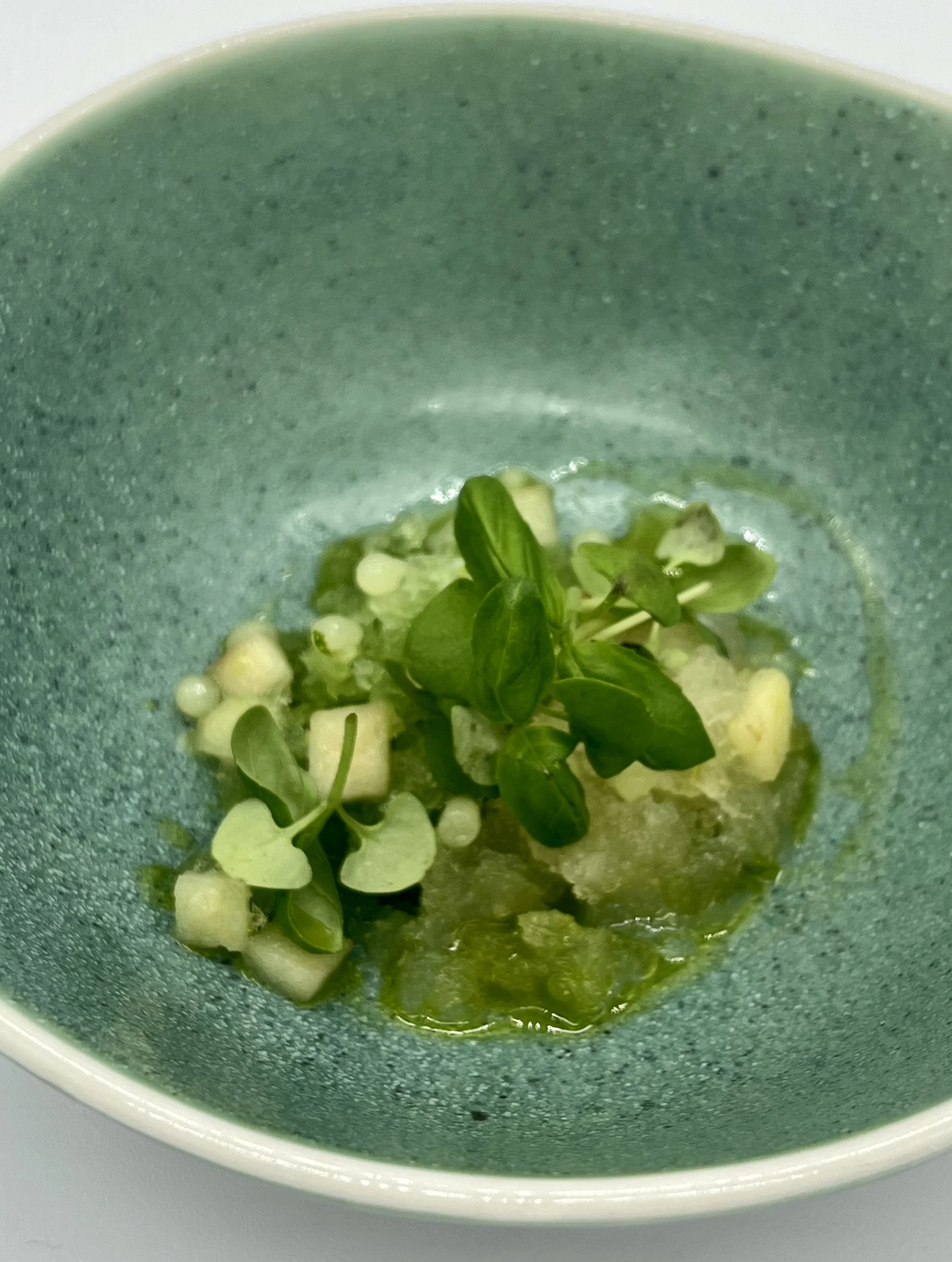 A close-up of a green ceramic bowl with microgreens, diced vegetables, and a green puree or sauce.