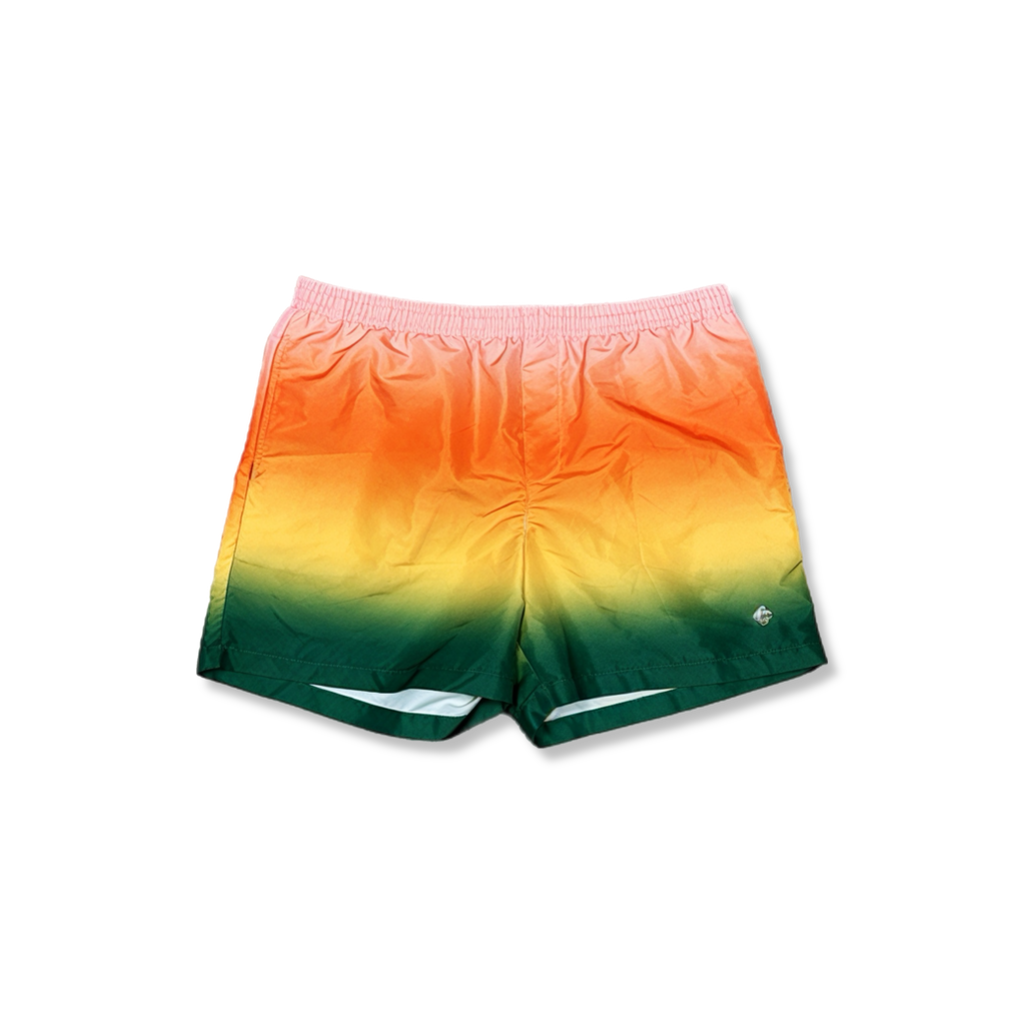 Casablanca gradient swim trunks (M)