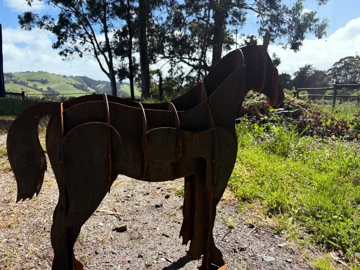 Another amazing horse pic from one of our customers&mdash;love seeing these pieces come to life! 🤗