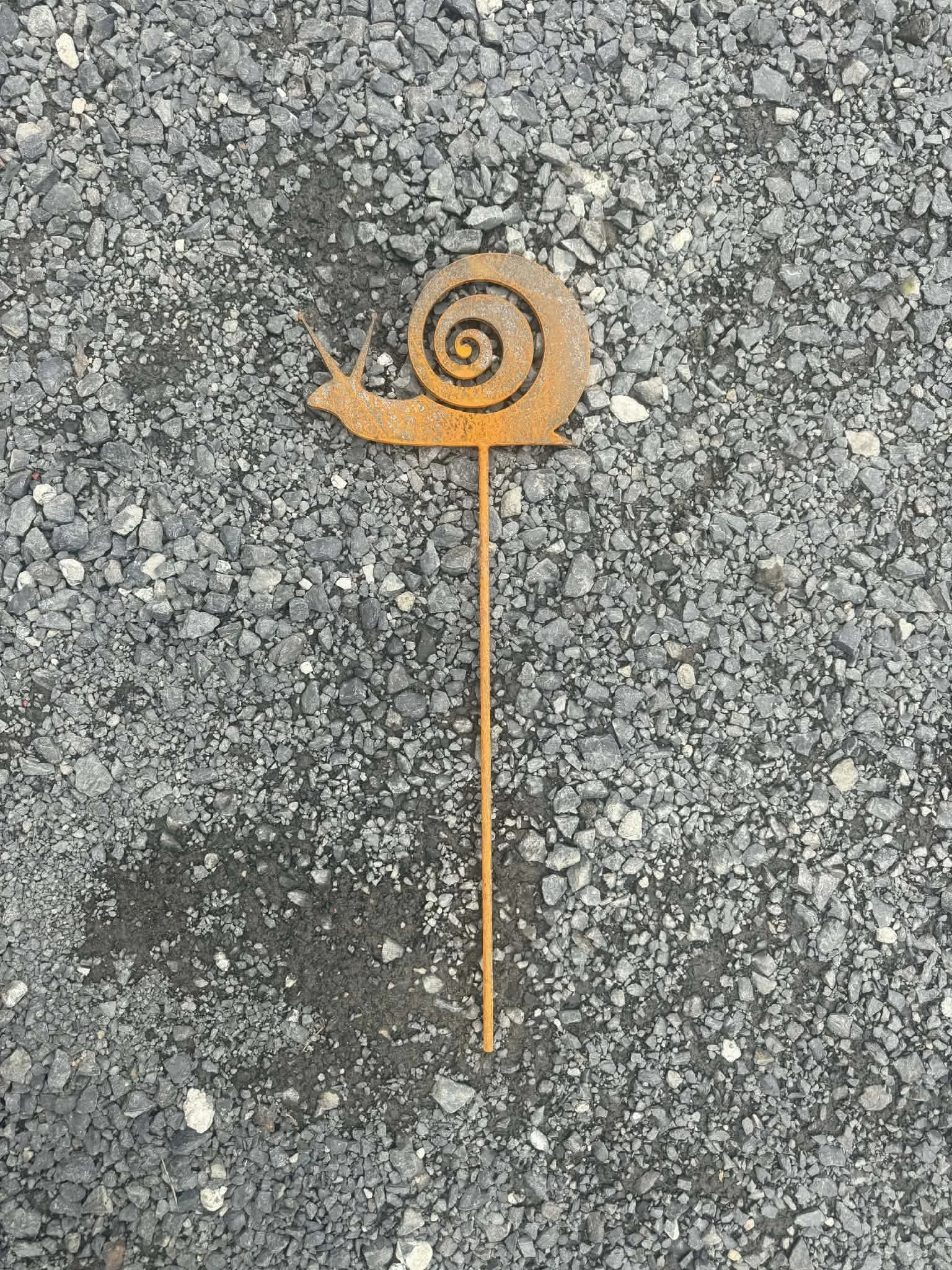 snail.jpg