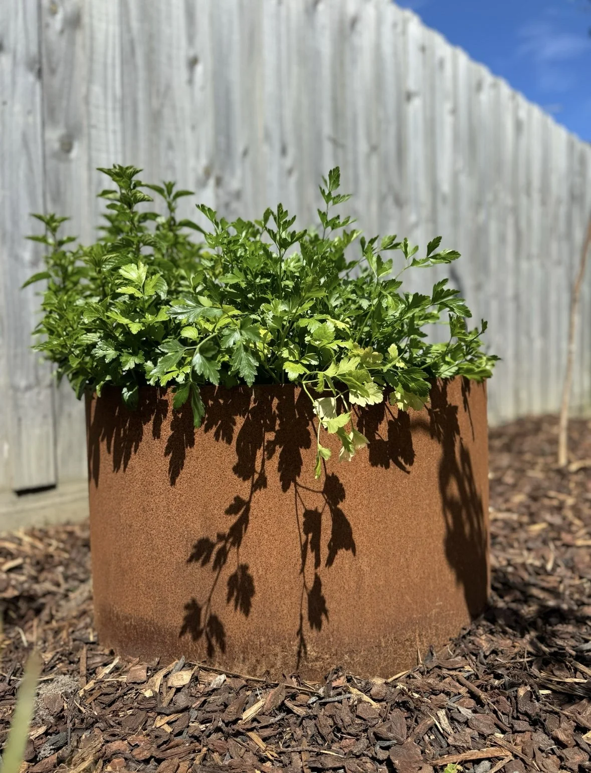 Planter Box