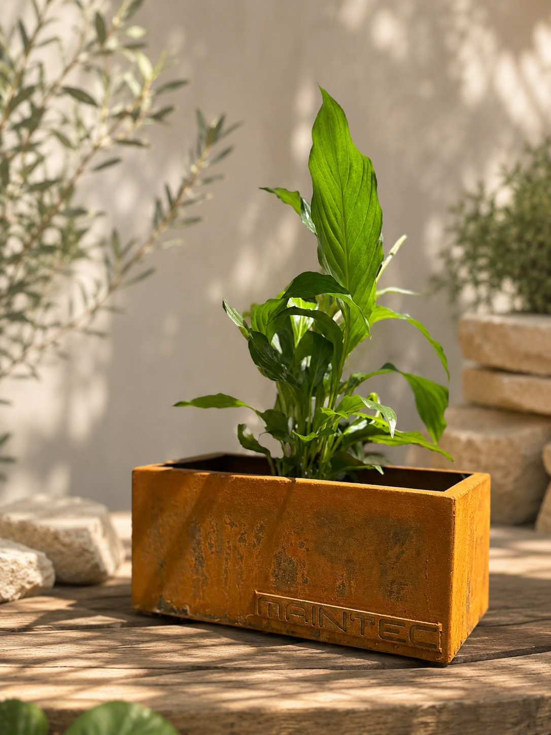 Mini Planter Boxes