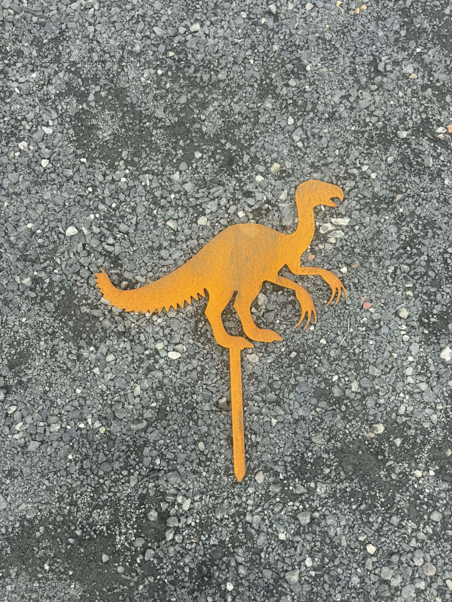 Dinosaur - Velociraptor