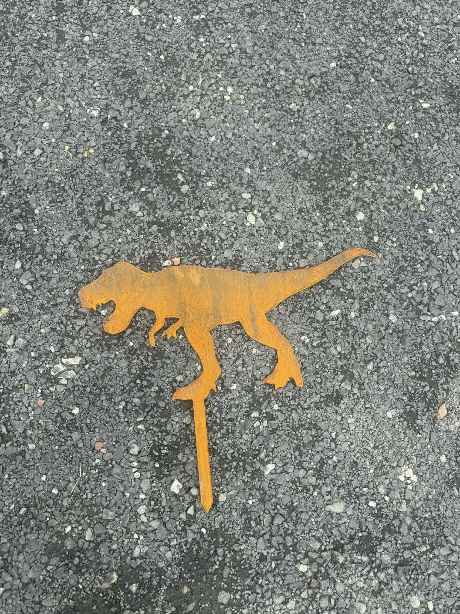 Dinosaur - T Rex