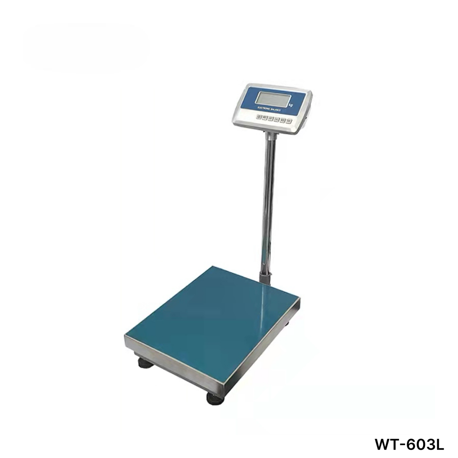 Floor Platform Scale (60 kg × 1 g)