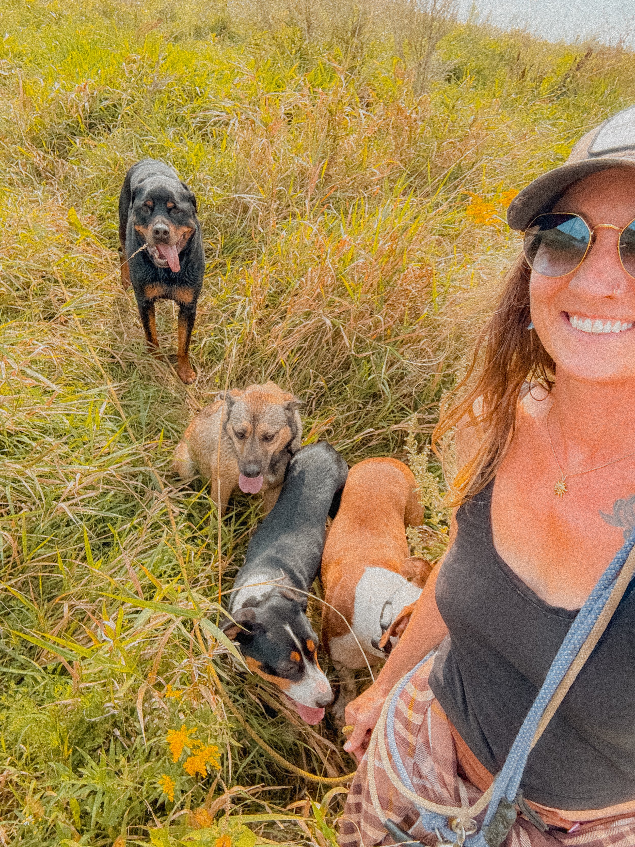 Using Pressure to Communicate Clearly with Dogs