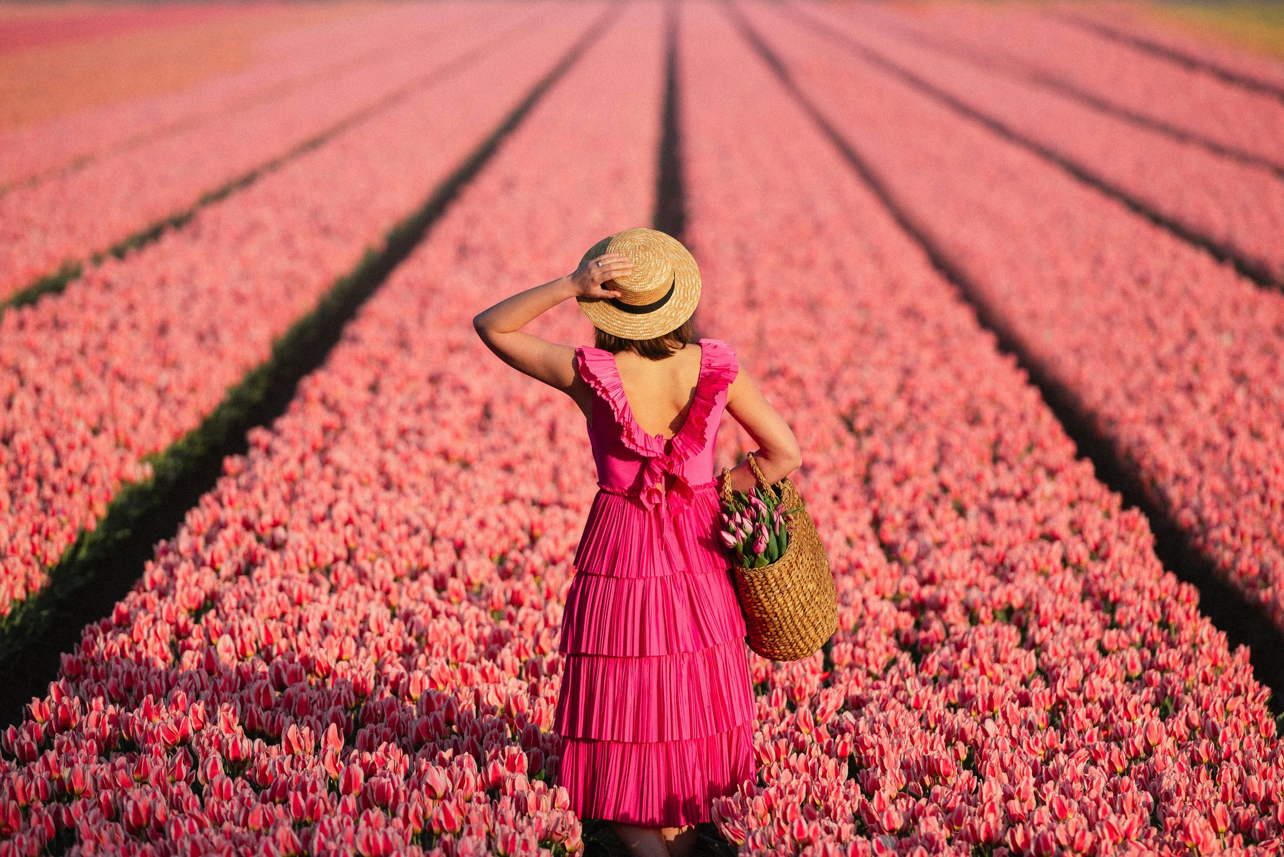 Woman in a pink ruffled dress and straw hat standing in a field of pink tulips, holding a woven basket with tulips.