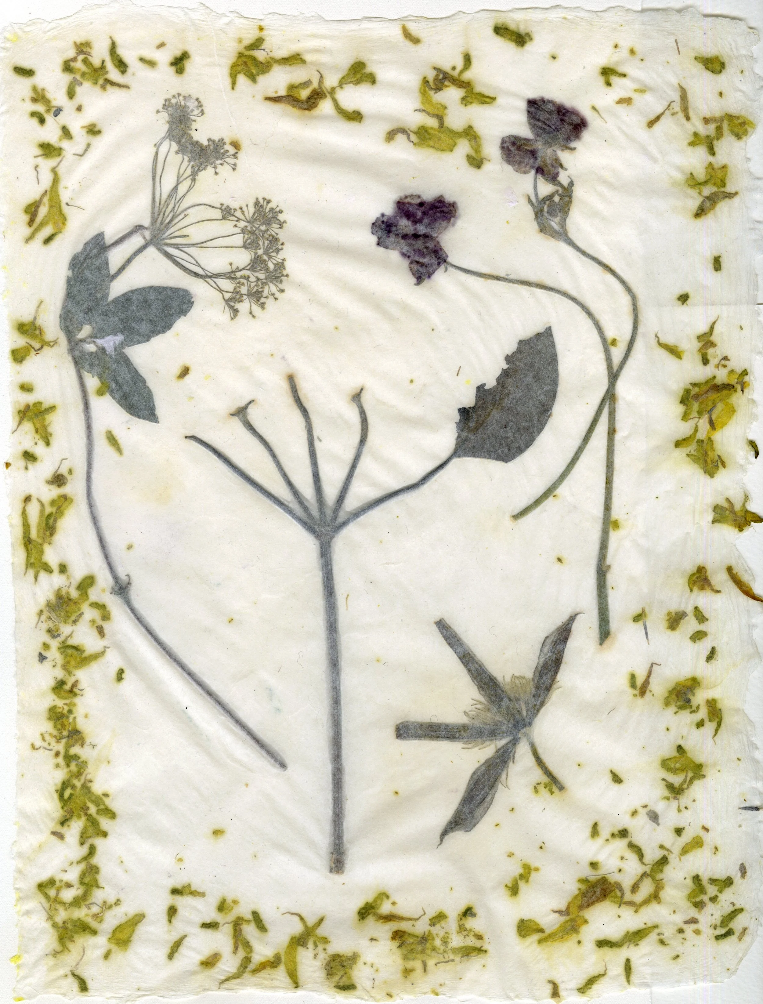 img20230328_09163133 (1).JPG