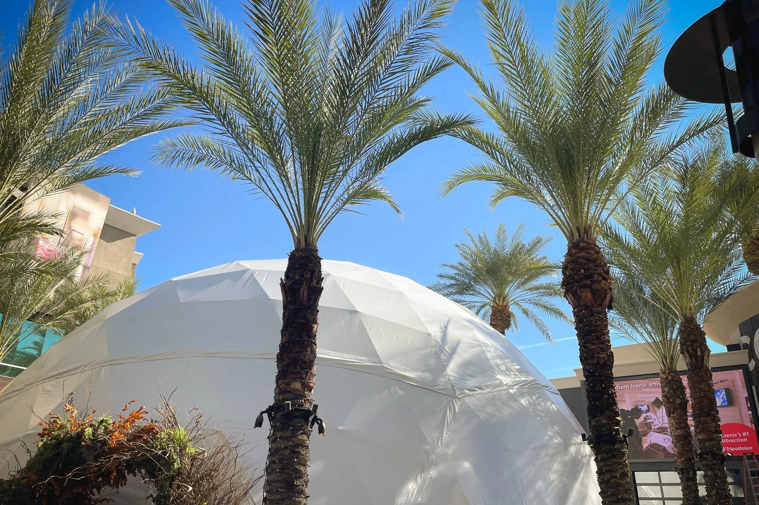 White geodesic event dome exterior among palm trees, daylight before a projection mapping activation.
