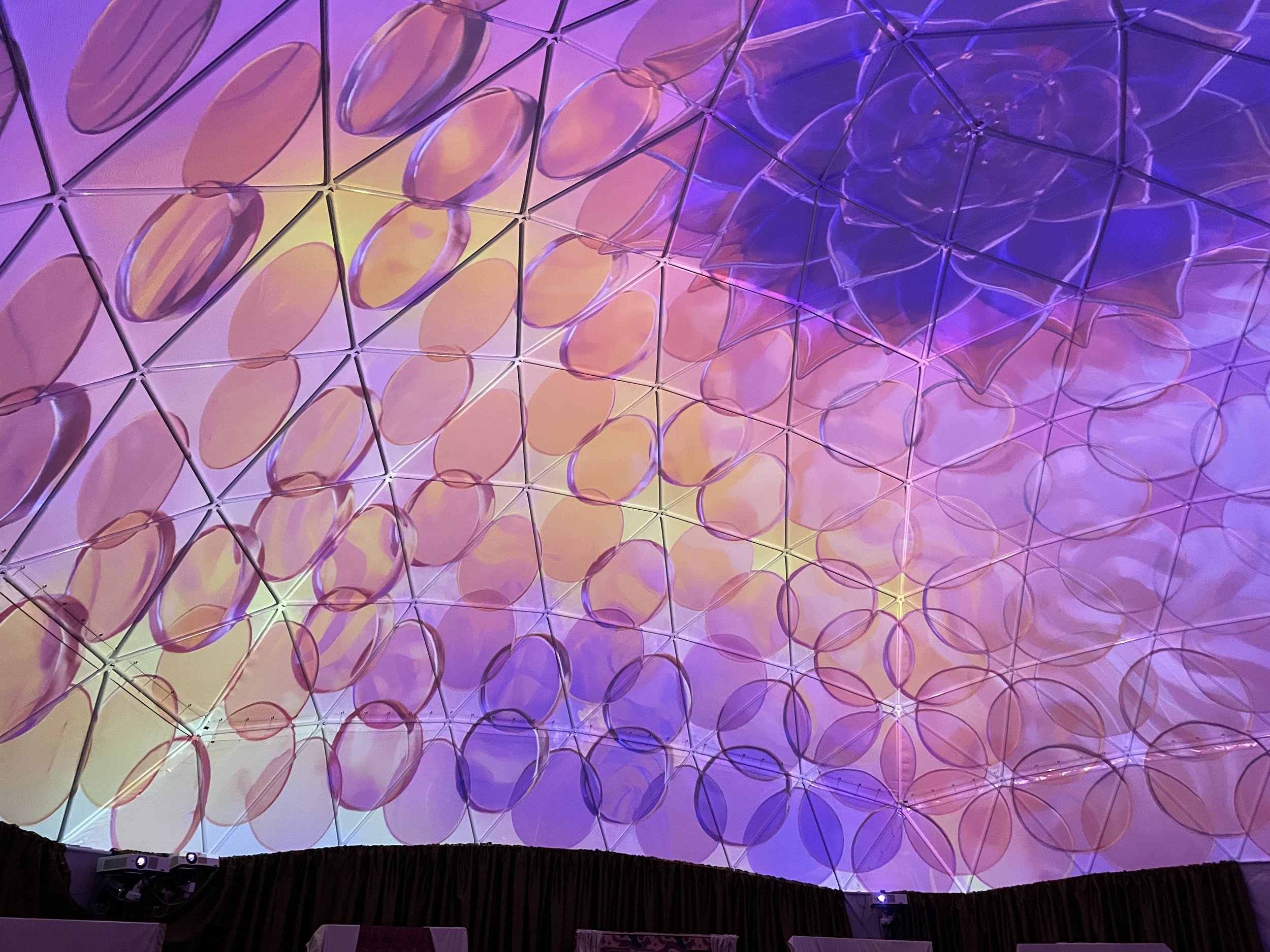 Lumenarius Full Dome Projection Mapping Show Inner Liner vs Geodesic Dome Strut Company Show Live Event Installation 13.JPG