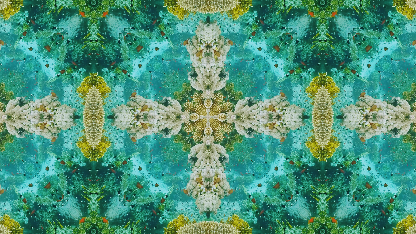 Lumenarius 3D Projection Mapping System - 360º Immersive Projection Mapping Room - Content 2.png