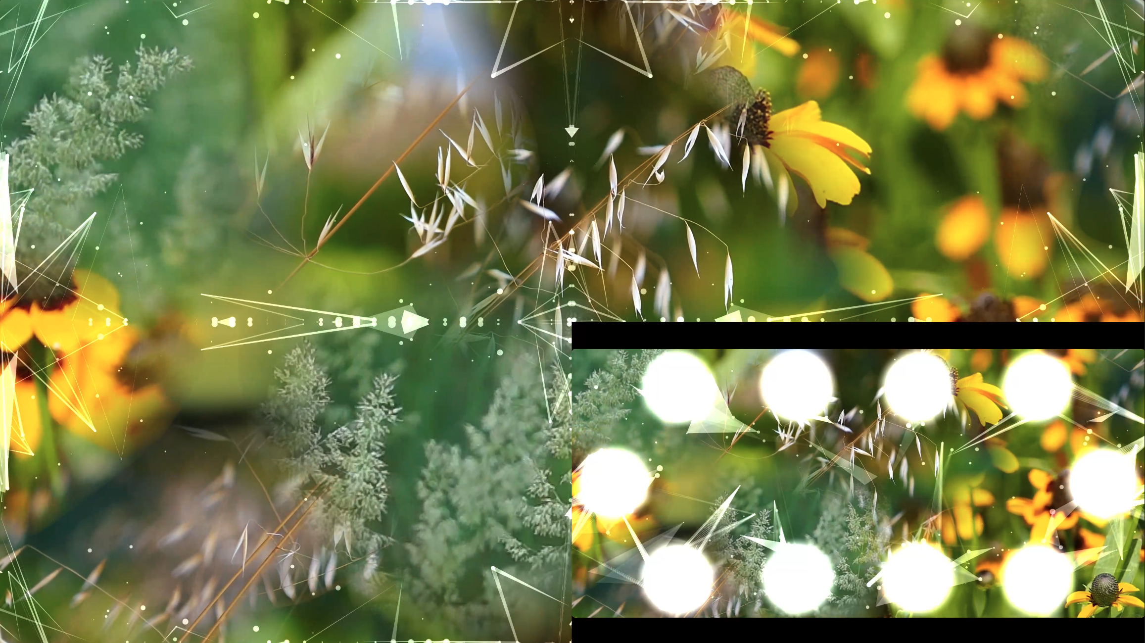 Lumenarius 3D Projection Mapping System - 360 Immersive Dinner Table Projection Mapping Experience - Content 9.png