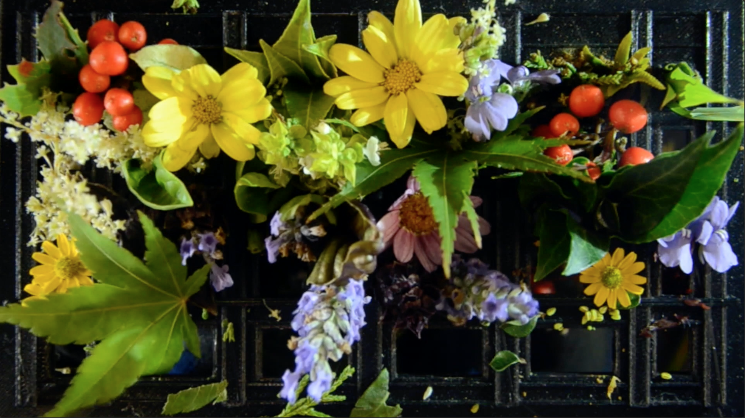 Lumenarius - Faithlife Software - 3D Projection Mapping - Visual Content - Screenshot 00002.png