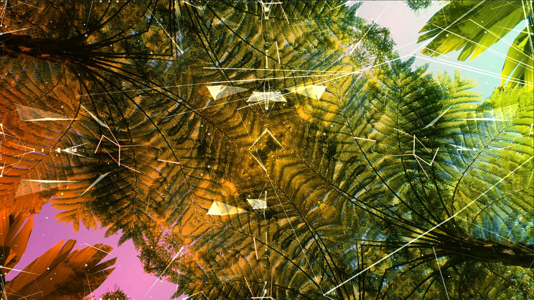 Lumenarius 3D Projection Mapping System - 360º Immersive Projection Mapping Room - Content 6.png