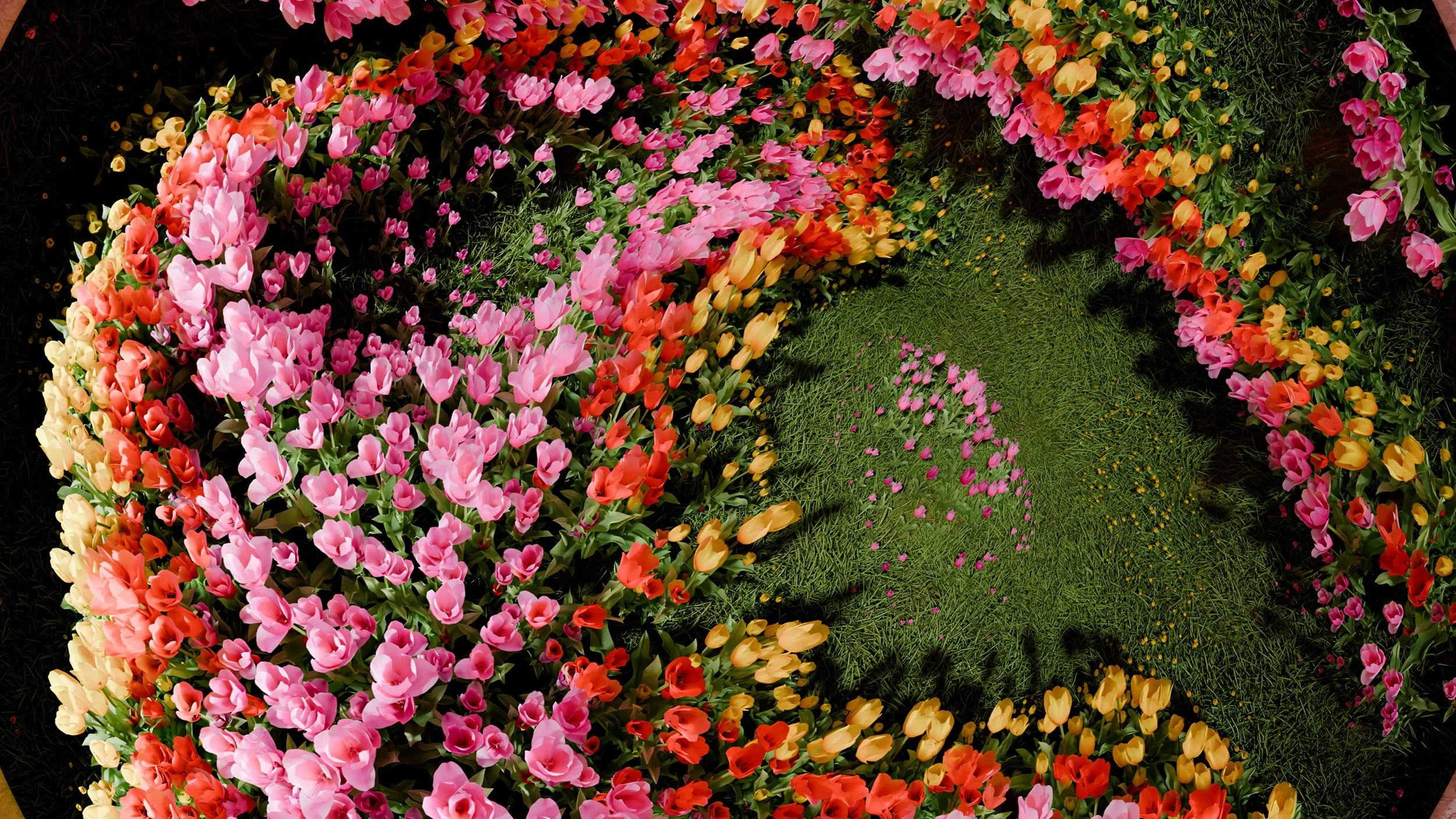 TIME OF THE TULIPS