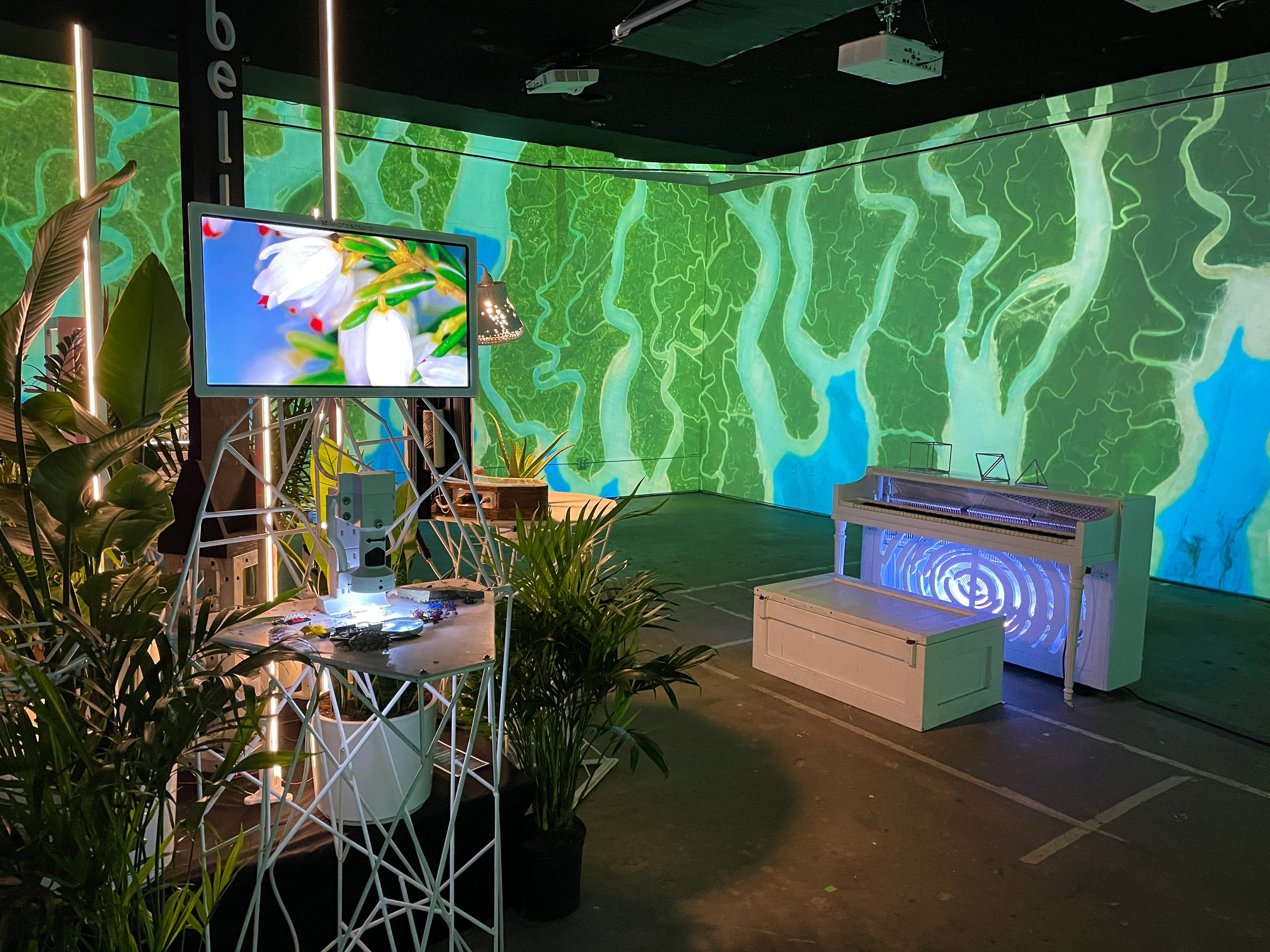 JUMP ILLUMIBRATE 2024 ROOM