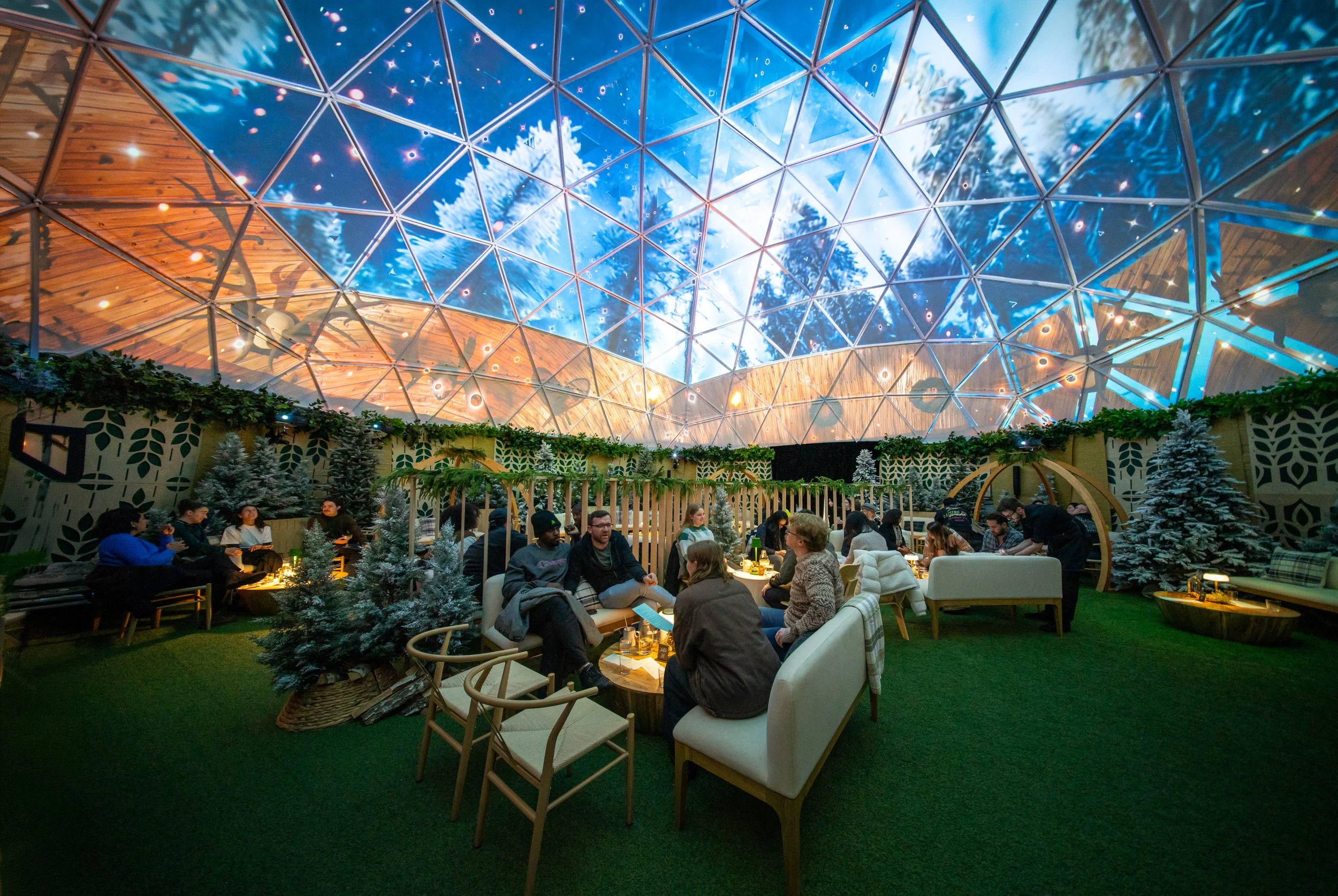 THE DOME AT HI-LAWN DC